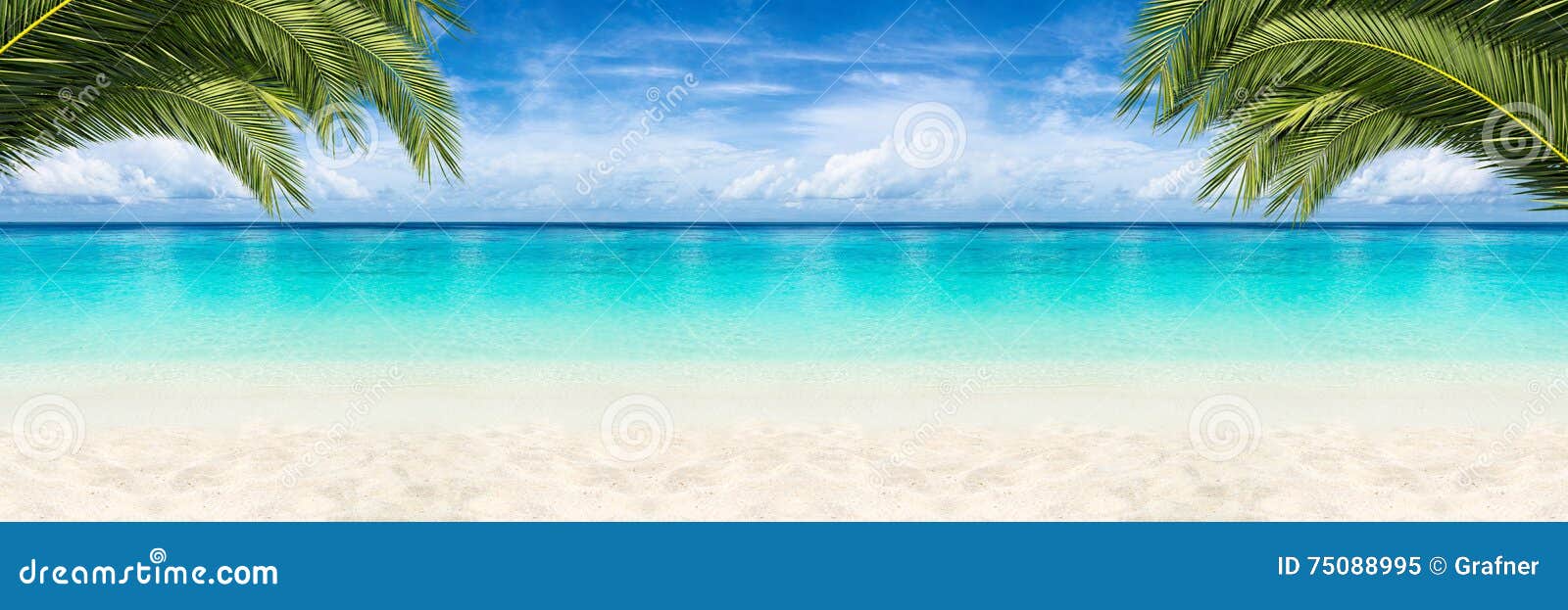 paradise beach background