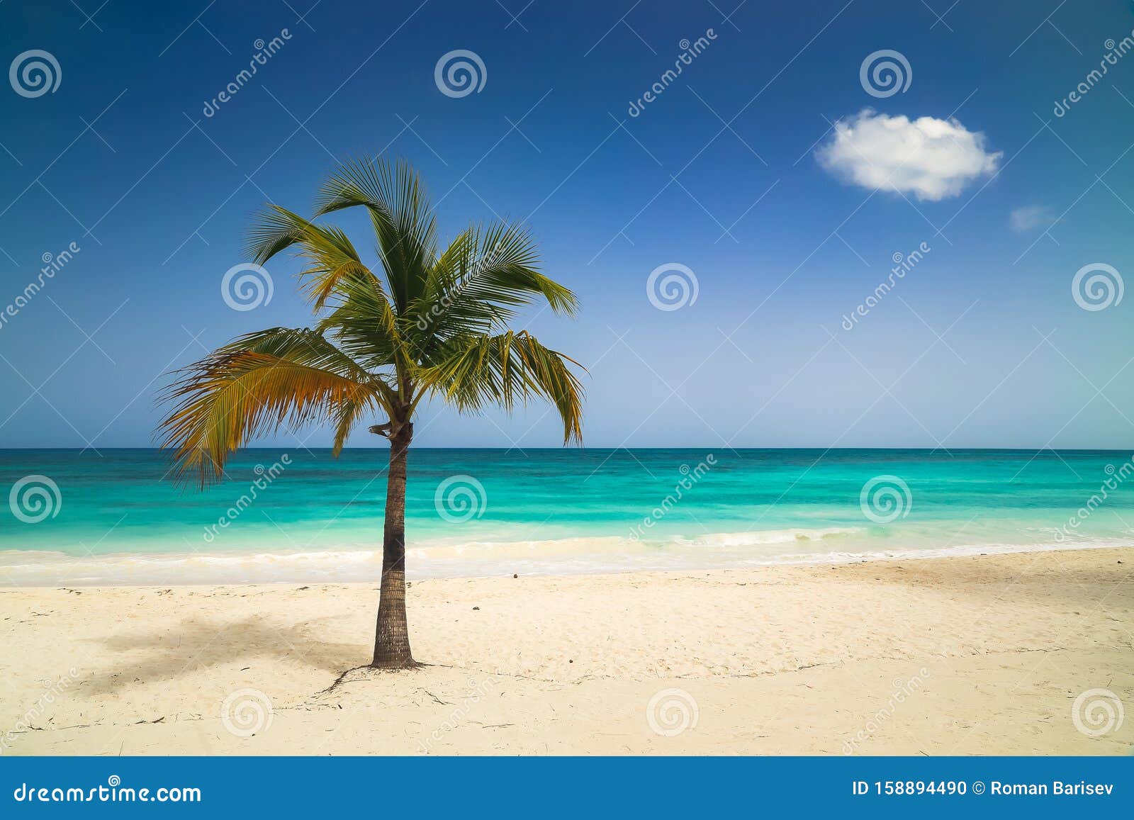 Paradise Beach with White Sand, Azure Water and Palm Tree Branches Over ...