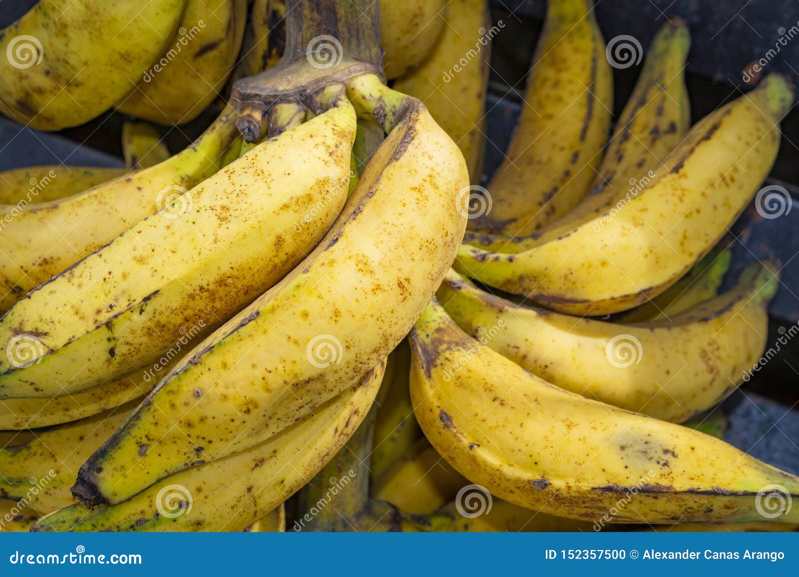 group of bananas yellow for sale