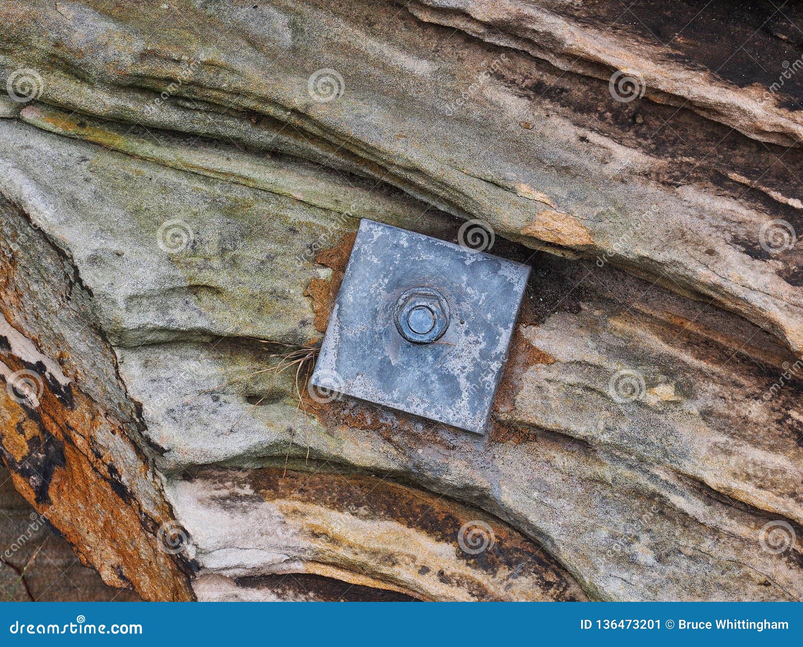 Parafuso da rocha que fixa Sydney Sandstone Wall, Austrália. Detalhe de um parafuso da rocha que fixa e que estabiliza uma parede corroída e resistida da rocha do arenito, costa dianteira do porto de Sydney, NSW, Austrália