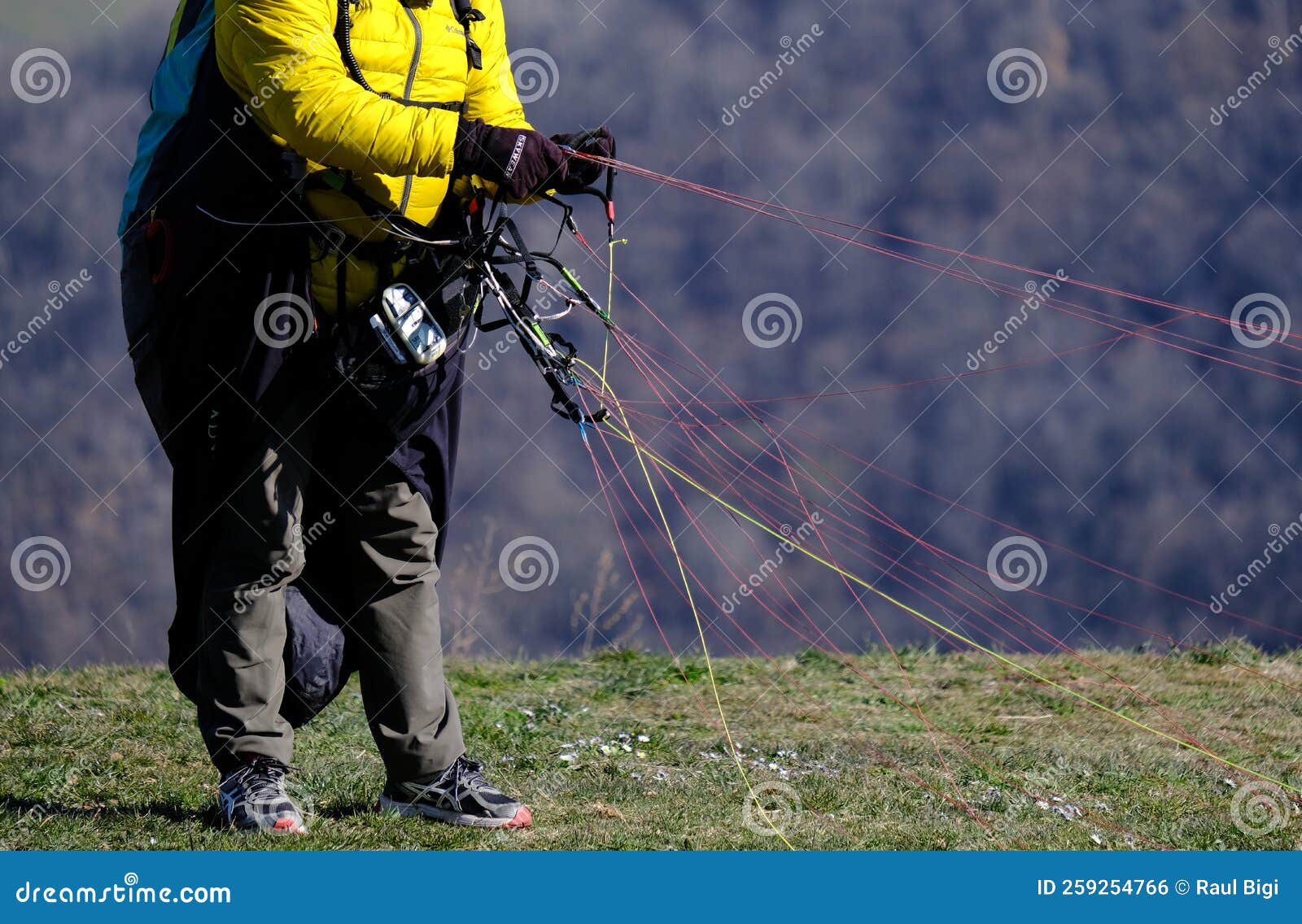 Paraglider Fixes the Tangled Strings of the Parachute in a Grassy Field Editorial Photo Image