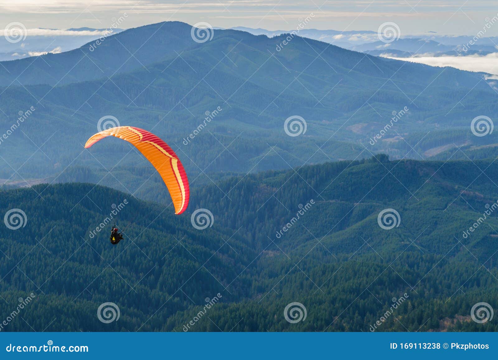 Paragliding stock photo. Image of flies, paraglider 169113238
