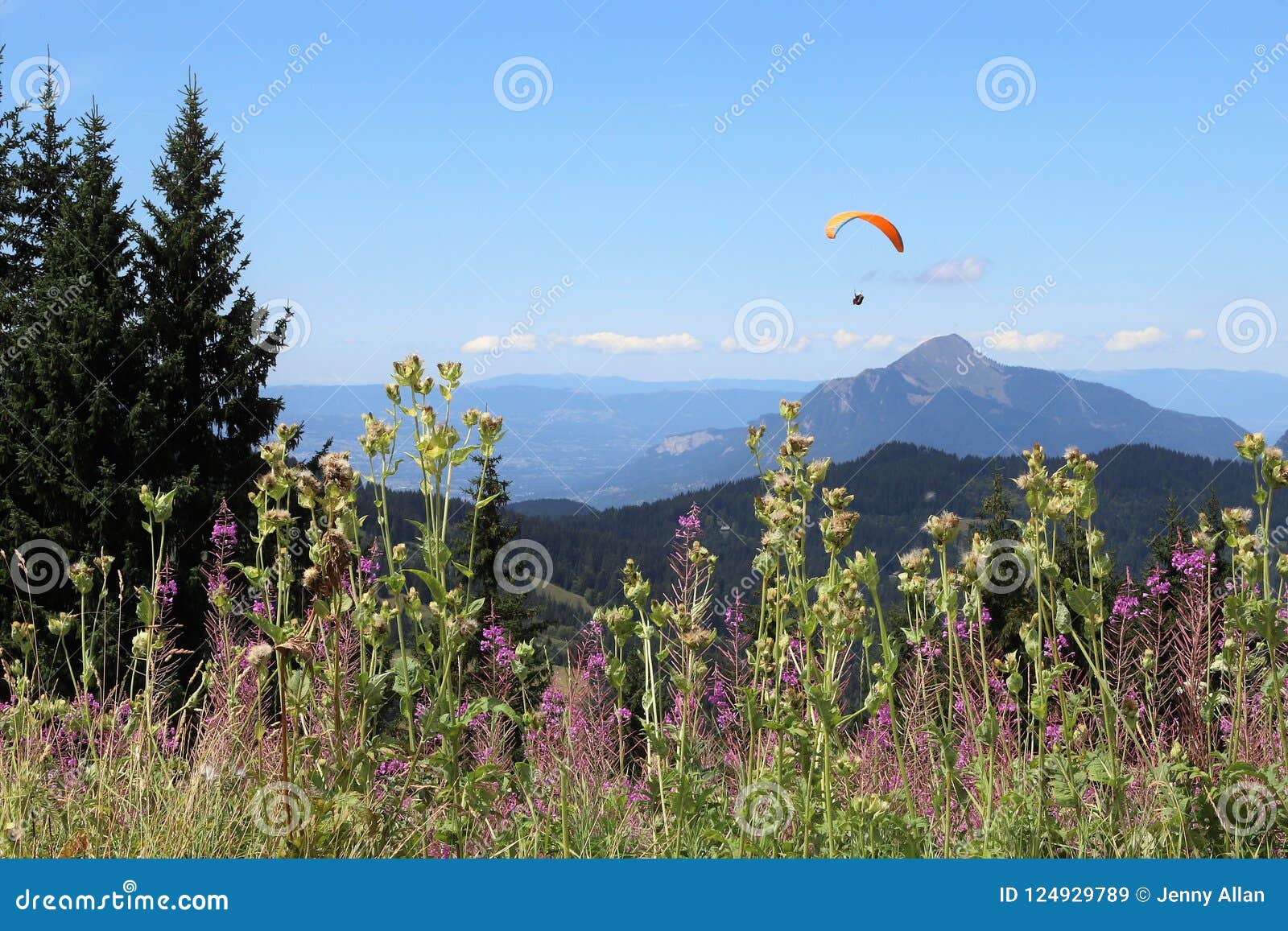 paragliding in samoens, french alps