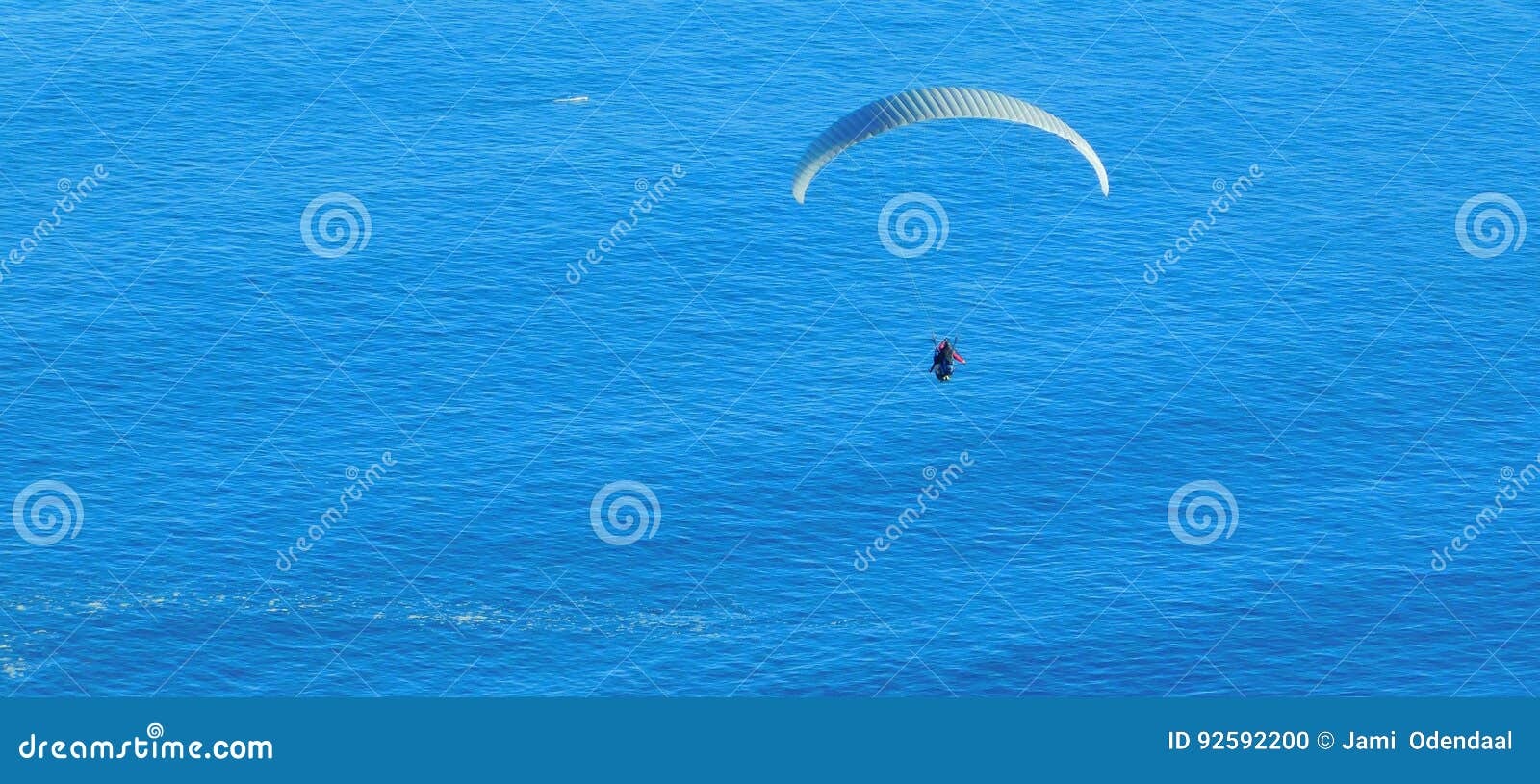 paragliding from signal hill, cape town