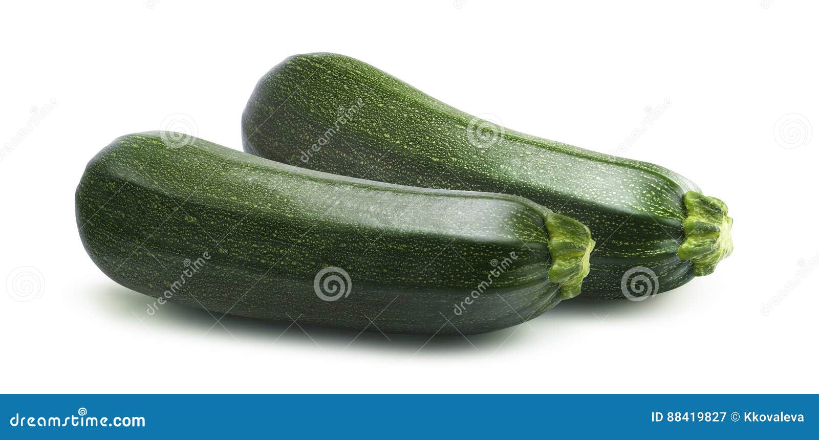 parallel zucchini  on white background