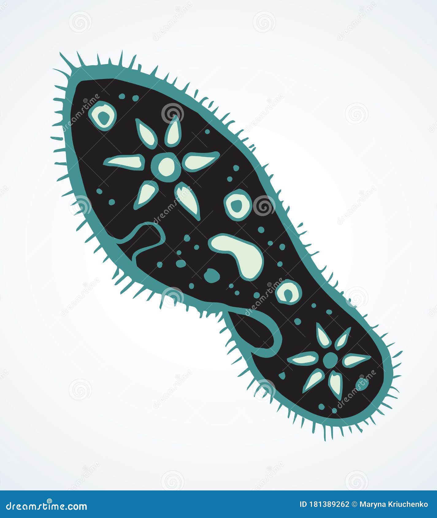 Paramecium Caudatum. Vector Drawing Icon Stock Vector - Illustration of  medicine, nucleus: 181389262