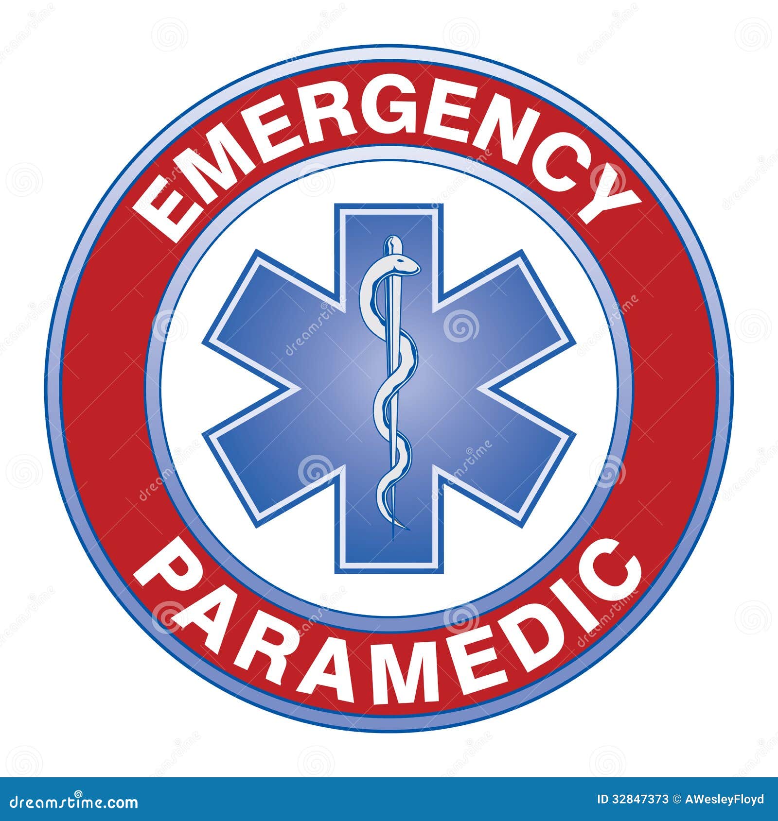 paramedic medical 