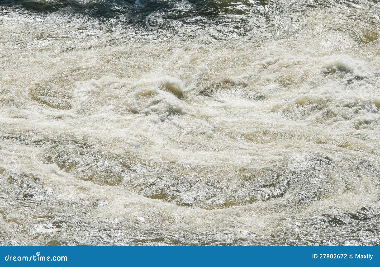 parana river stream