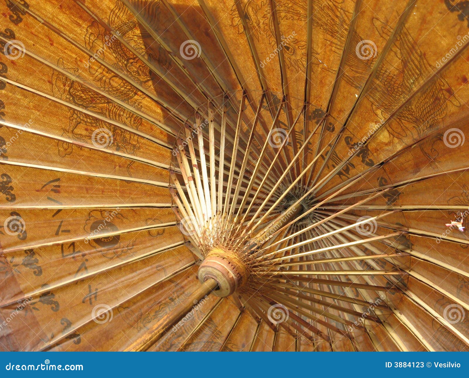 Odot Parapluie Papier 24 Côtes, Parapluie Chinois Style De Plantes