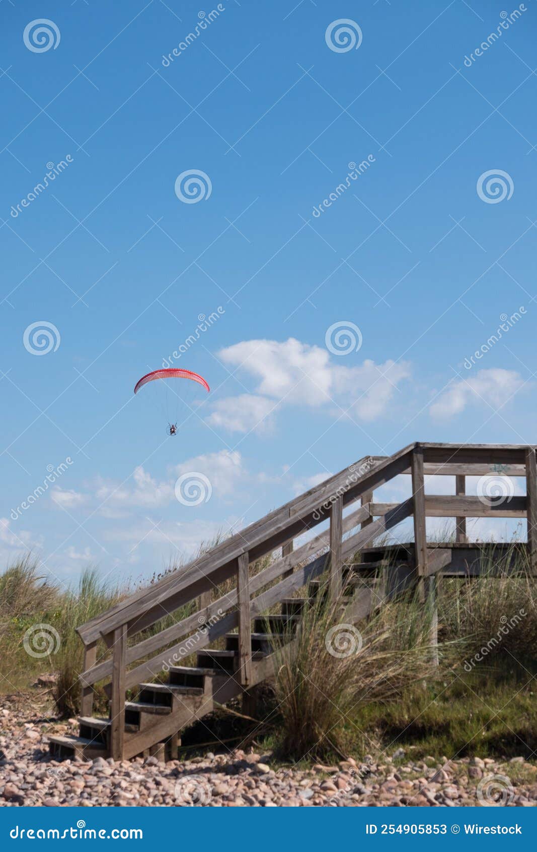 parasailing over las flores beach surrounded by growing trees and grass