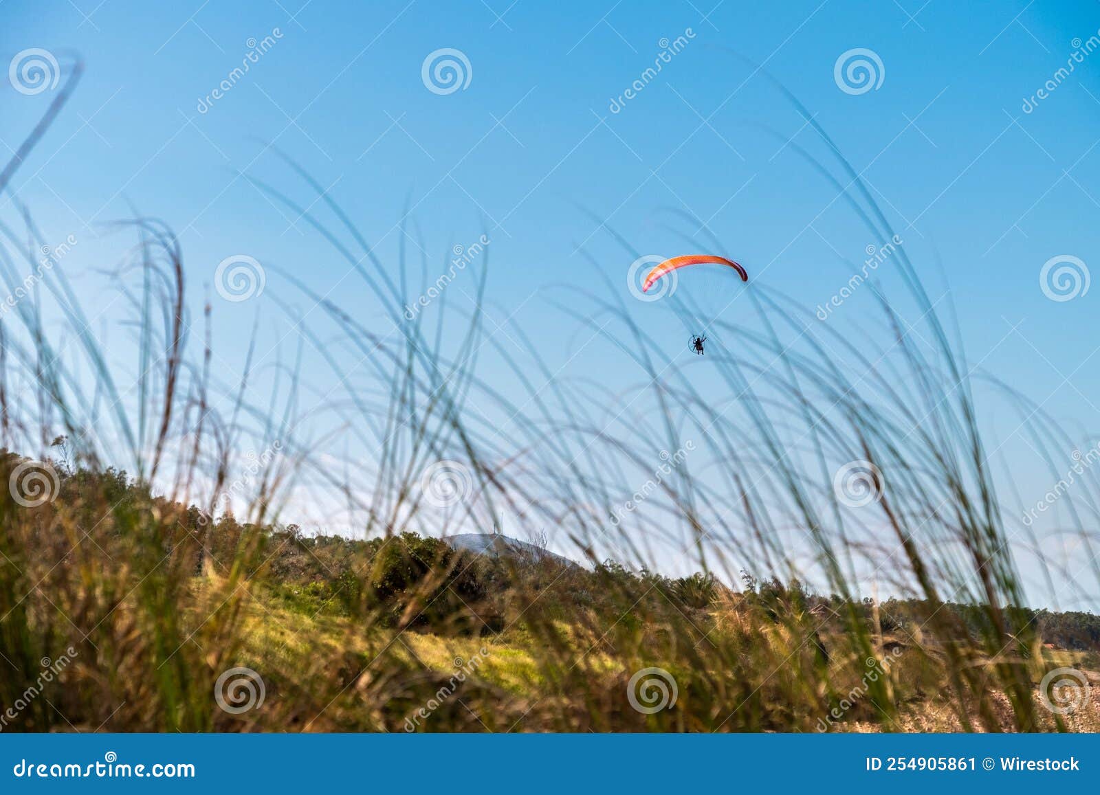 parasailing over las flores beach surrounded by growing trees