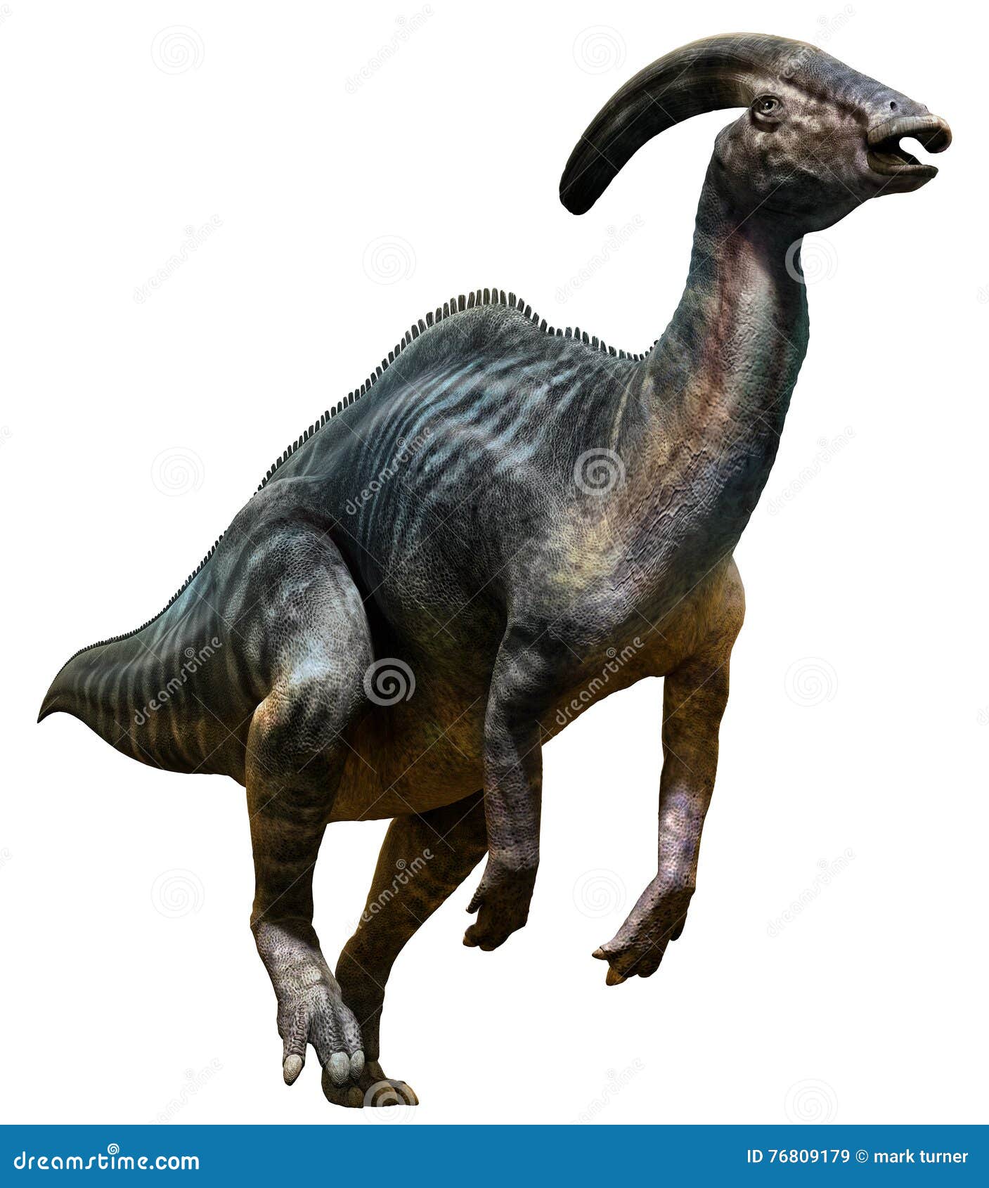 Parasaurolophus 3D Illustration Stock Illustration - Illustration of  parasaurolophus, cretaceous: 76809179