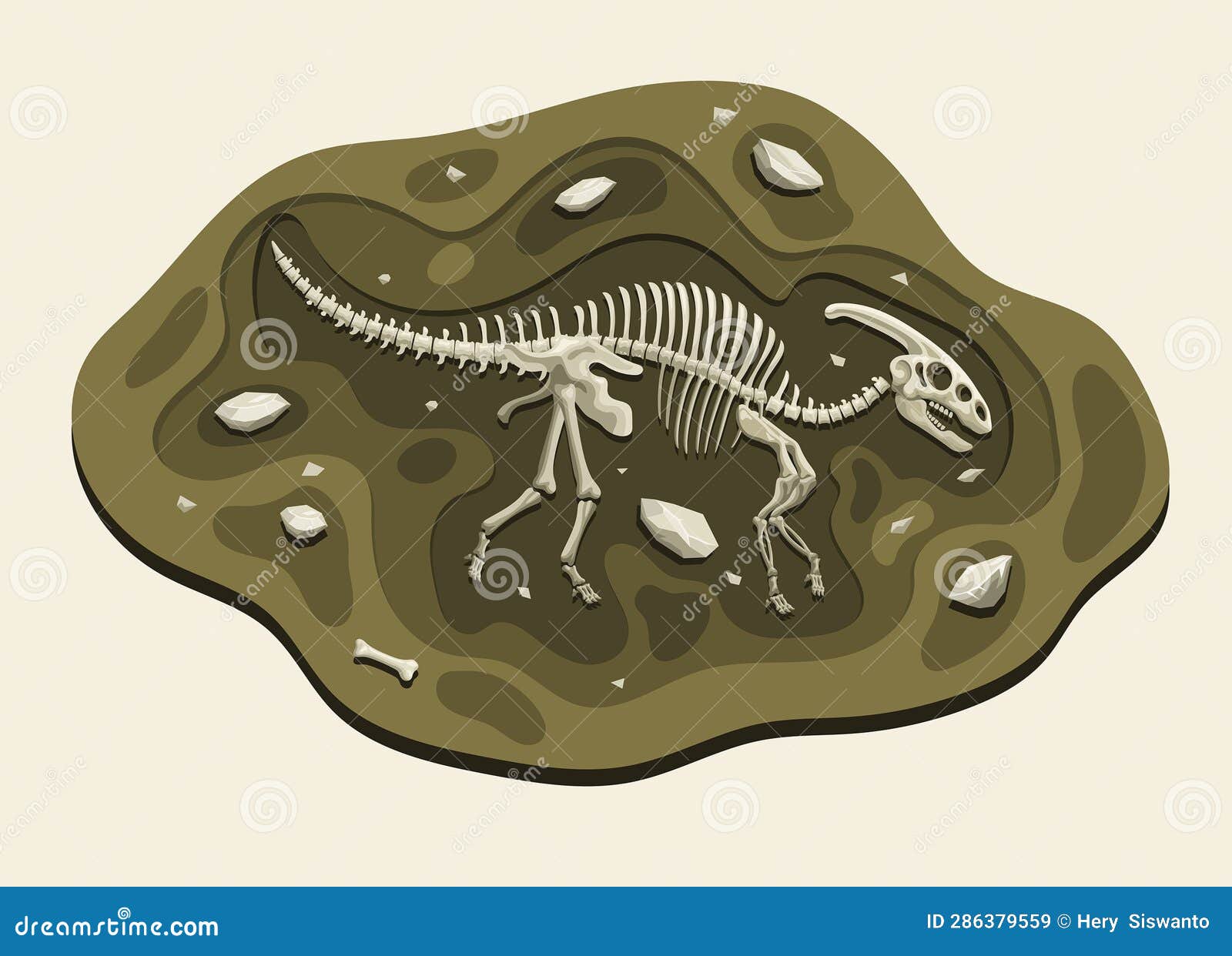 parasaurus dinosaurs archaeology fossil cartoon discover in the ground