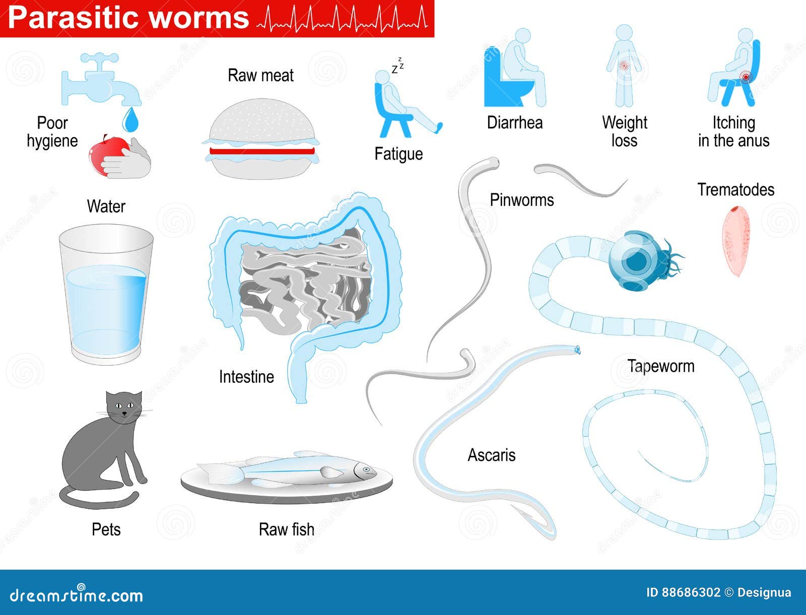 wormex for pinworms