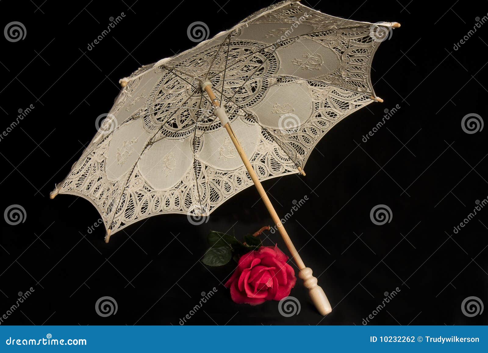 parasol red rose