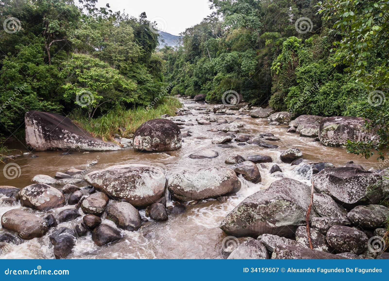 paraty caminho real rio de janeiro brazil
