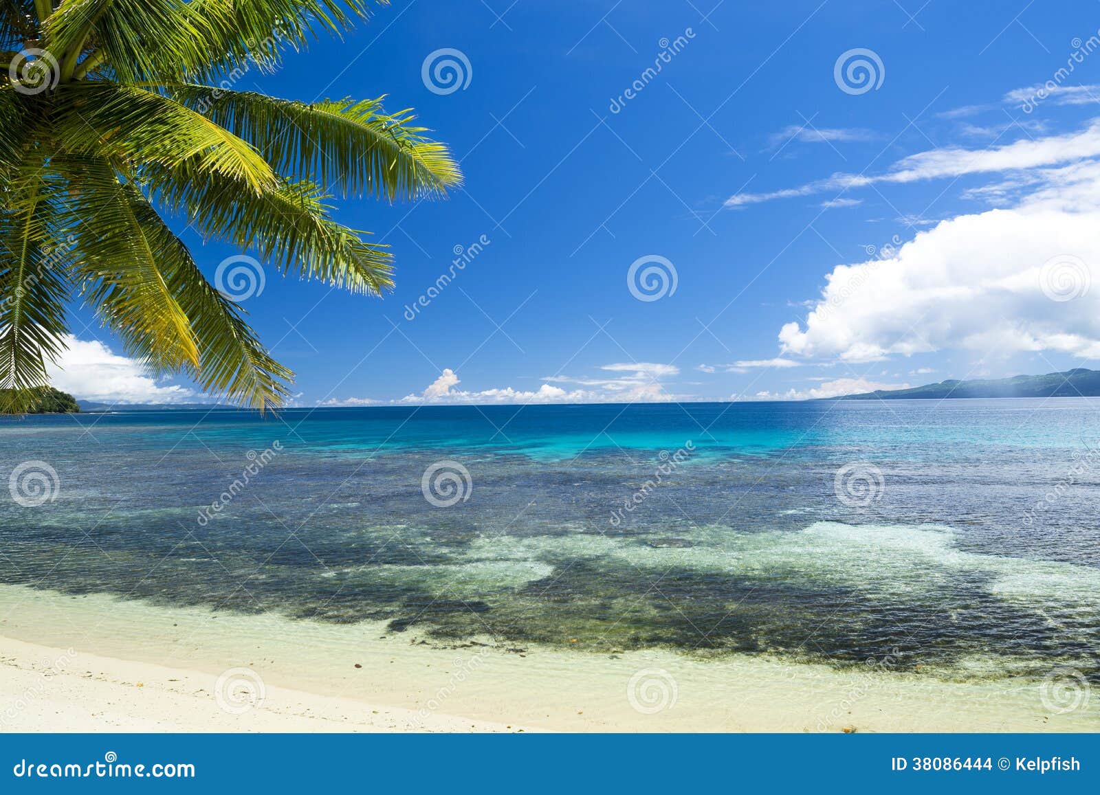 Paraíso tropical da praia. Uma praia tropical da areia branca com luxúria, linha de palmeiras verde água de turquesa e um céu grande, azul.