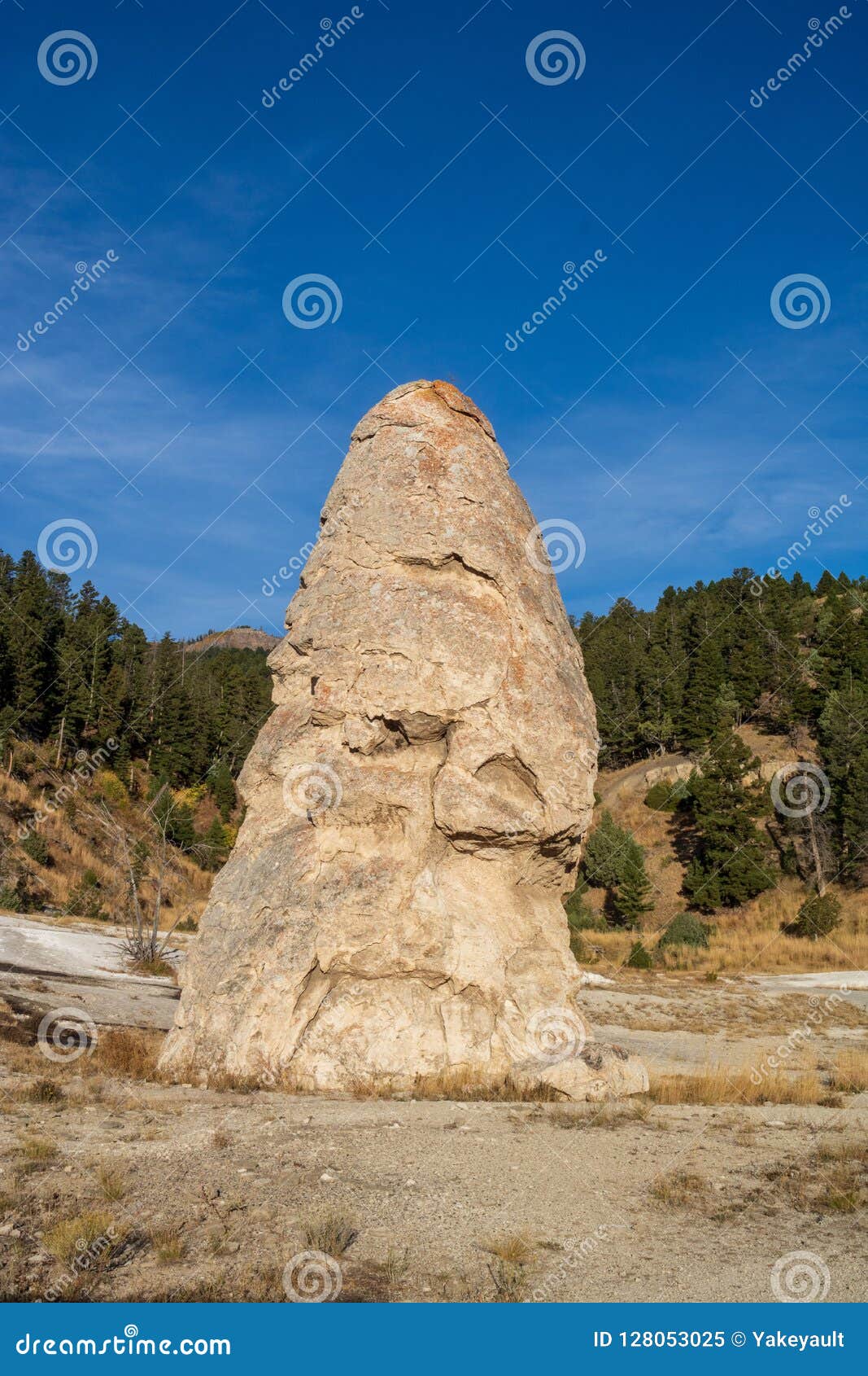Parc De Liberty Cap in Yellowstone National Image stock Image du
