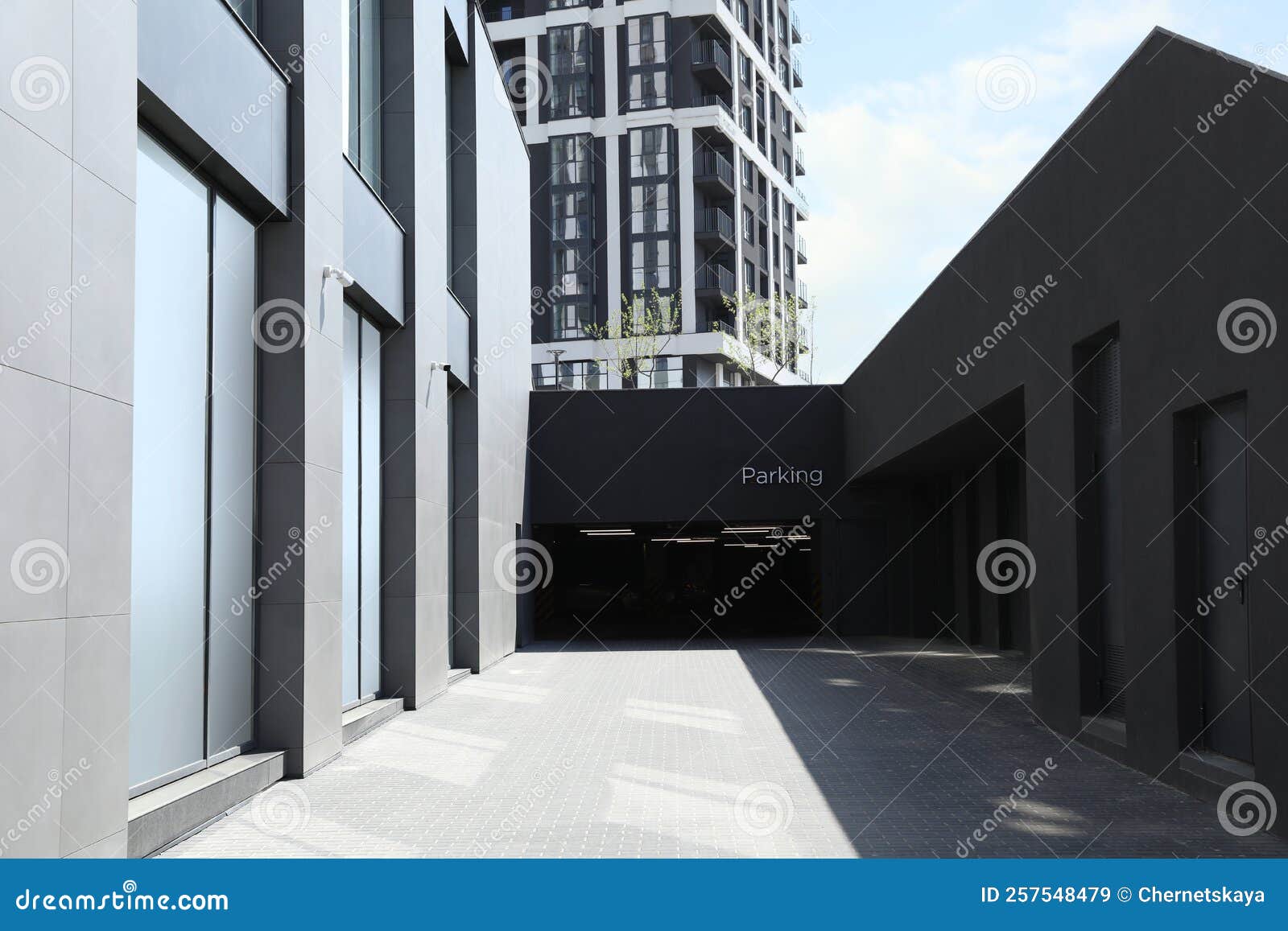 Trasportino Per Cani E Gatti Pratiko Metal - Misura 2 (55x36x36cm) | Porta In Metallo, Design Stabile E Resistente - Foto 4