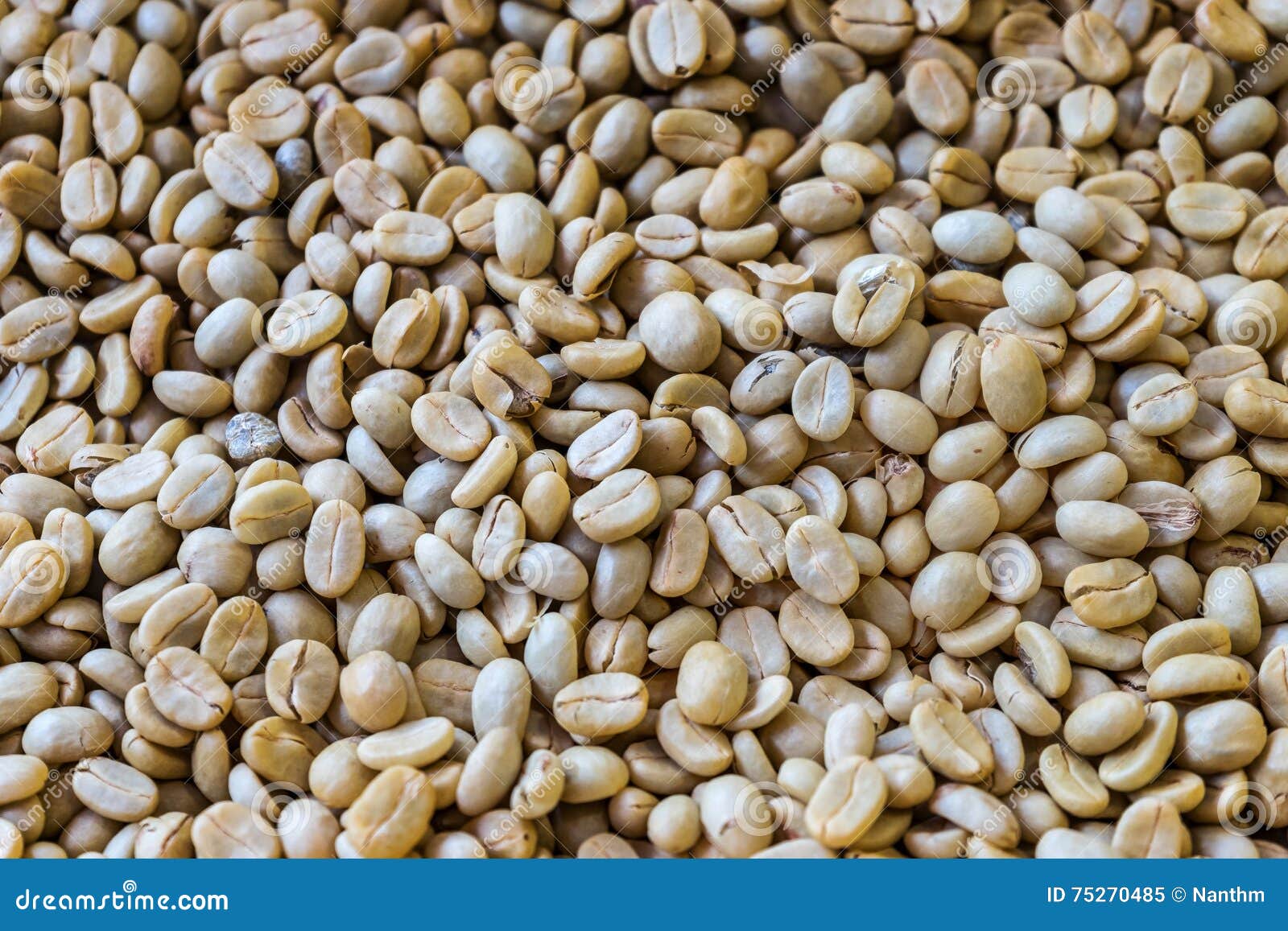 Parchment coffee stock image. Image of hulling, peeling 75270485