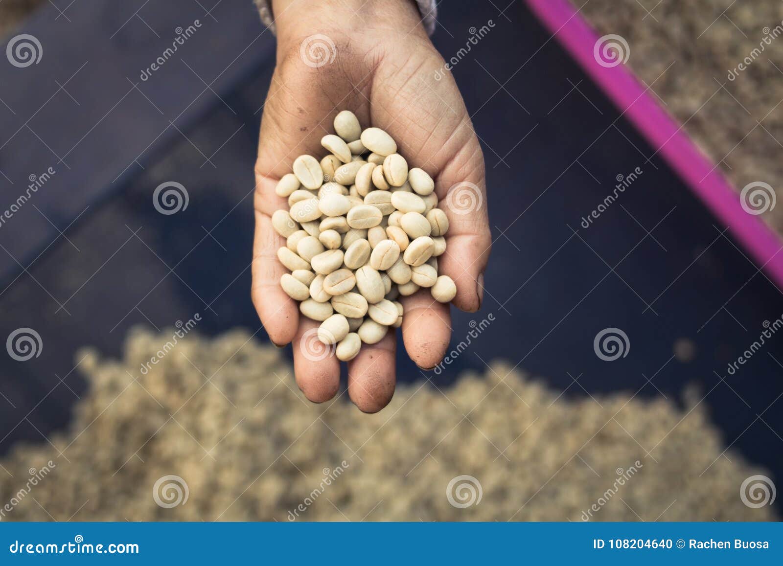 Parchment coffee in hand stock photo. Image of process 108204640