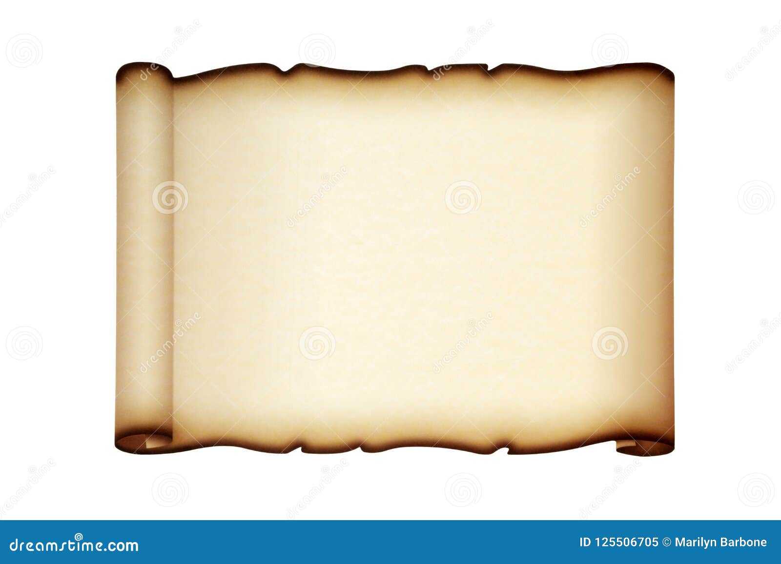 Roll Of Baking Parchment Paper Isolated On White Stock Photo, Picture and  Royalty Free Image. Image 43938815.