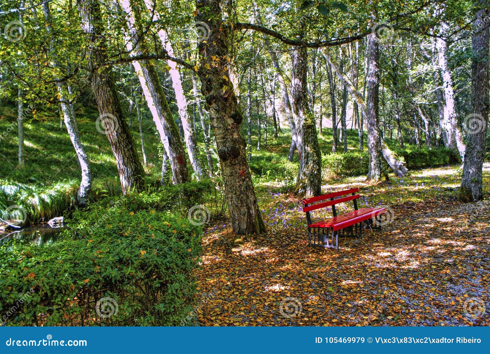 Parco di Carvalhelhos in Boticas, Portogallo