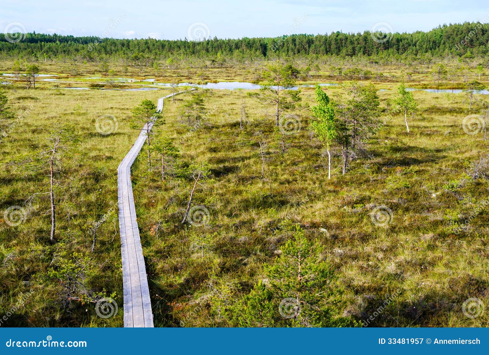 Parco Nazionale Estonia Di Sooma Immagine Stock Immagine di alto