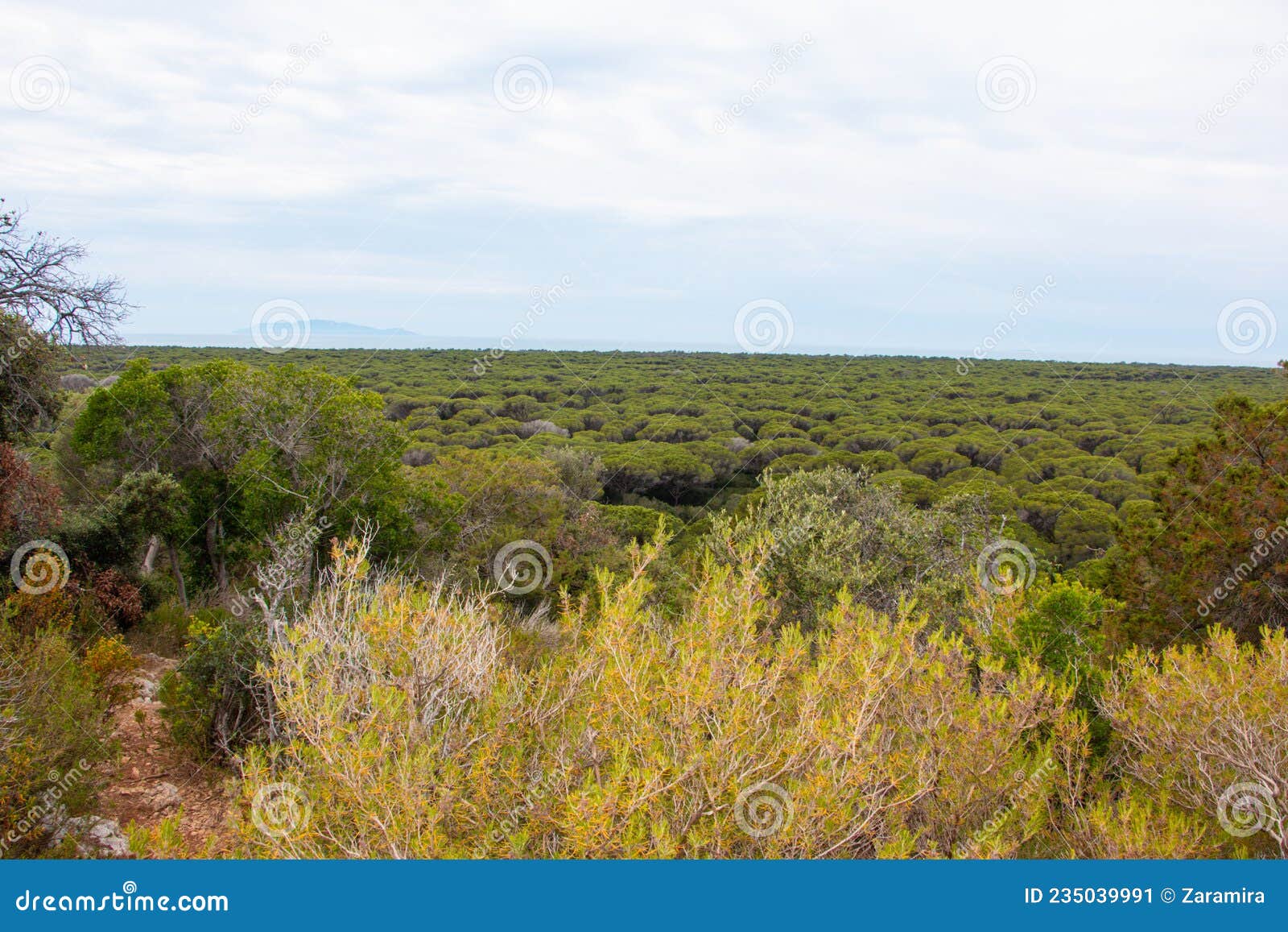 parco regionale della maremma