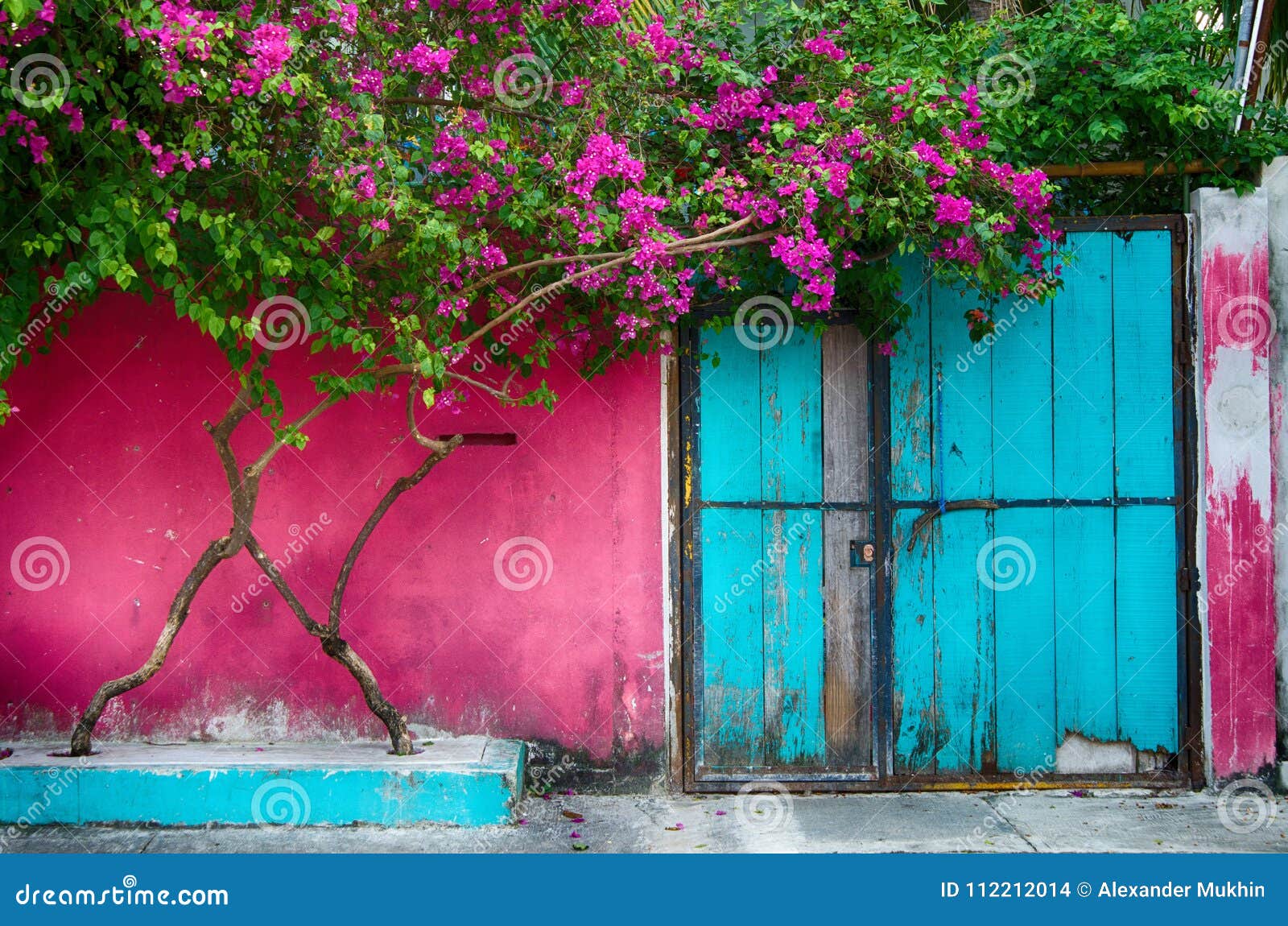 Uma casa rosa com um exterior rosa e uma porta rosa.