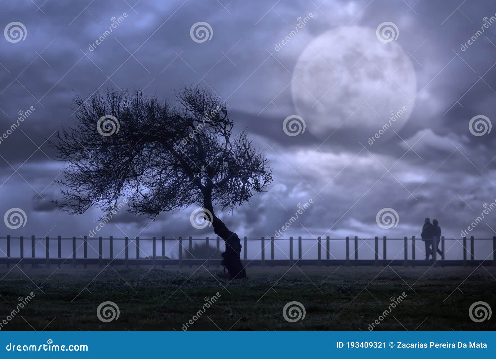 Pareja Caminando Por Un Camino En Una Noche De Luna Llena Imagen de archivo - Imagen de ocio, paisaje: 193409321 Pareja Caminando Por Un Camino En Una Noche De Luna Llena Imagen de archivo - Imagen de ocio, paisaje: 193409321