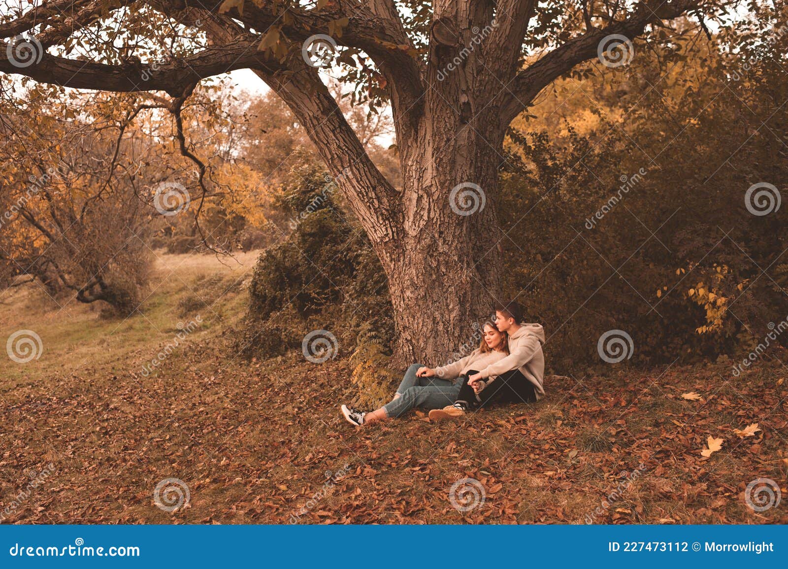 Pareja De Amor Chico Y Chica Descansando Bajo El árbol Sobre El Paisaje Natural Al Aire Libre En El Parque. Temporada De Otoño. Un Foto de archivo - Imagen de cubo, estacional: Pareja De Amor Chico Y Chica Descansando Bajo El árbol Sobre El Paisaje Natural Al Aire Libre En El Parque. Temporada De Otoño. Un Foto de archivo - Imagen de cubo, estacional: