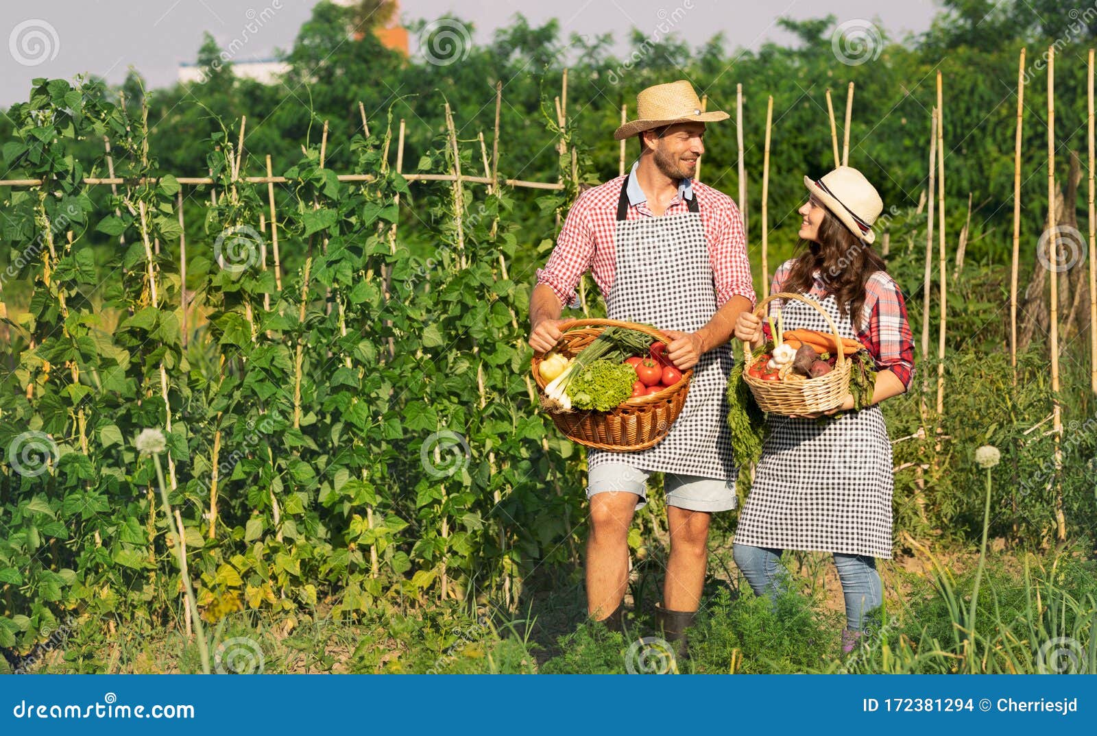 Pareja De Granjeros Con Cestas Llenas De Productos Saludables Foto de archivo - Imagen de personas, granjeros: 172381294 Pareja De Granjeros Con Cestas Llenas De Productos Saludables Foto de archivo - Imagen de personas, granjeros: 172381294
