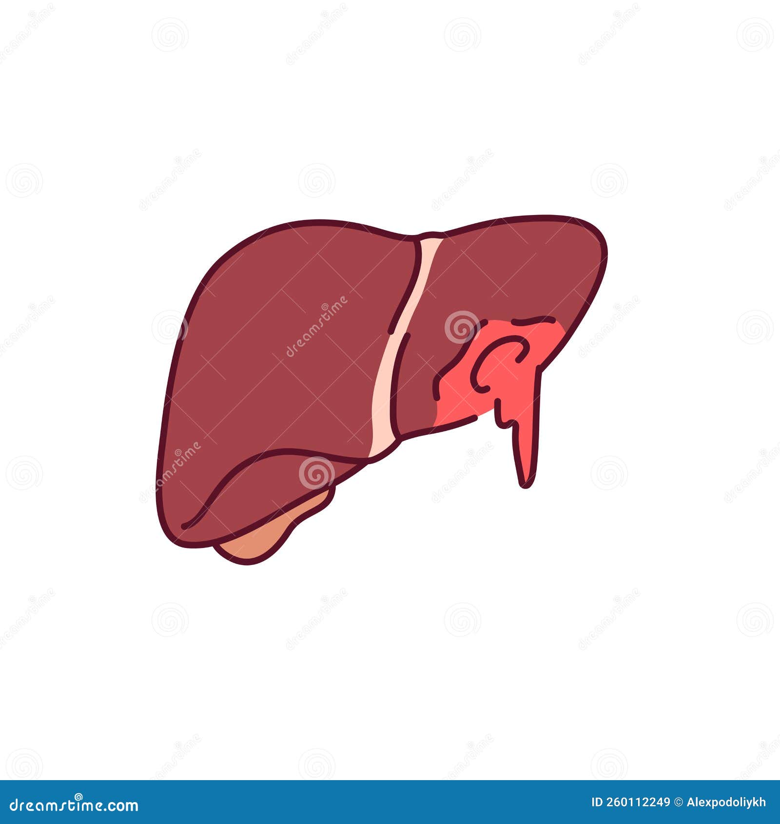 Parenchymal Bleeding from Liver Color Line Icon. Injuries Concept Stock ...