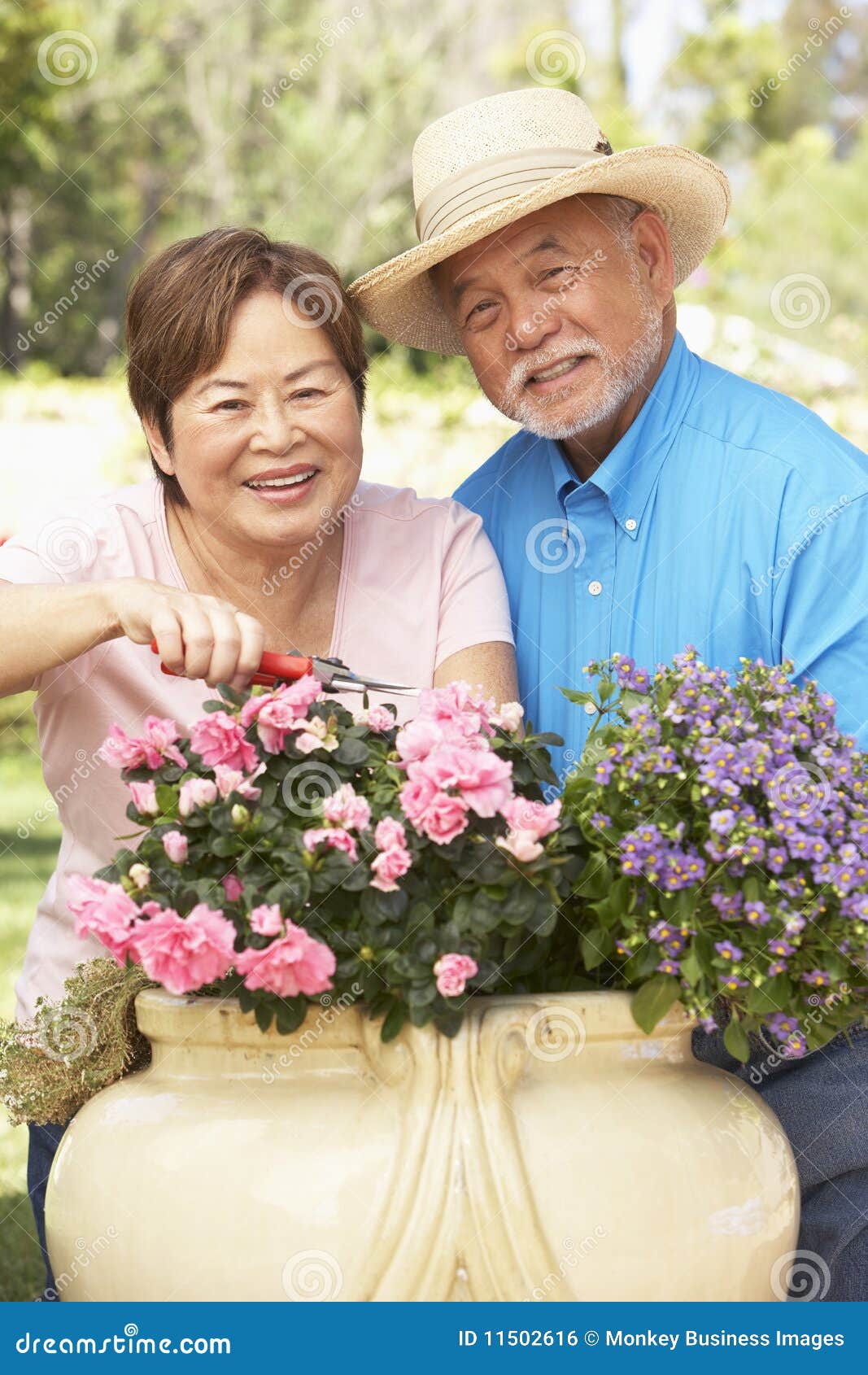 Pares sênior que jardinam junto em casa sorrindo