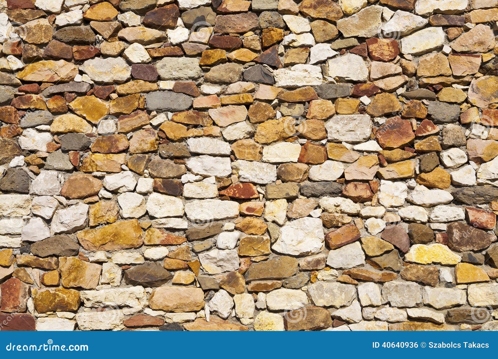 Fly Art. 72057 Caproni Ca.101 Float And Radial Engine Scala: 1/72 - Foto 9