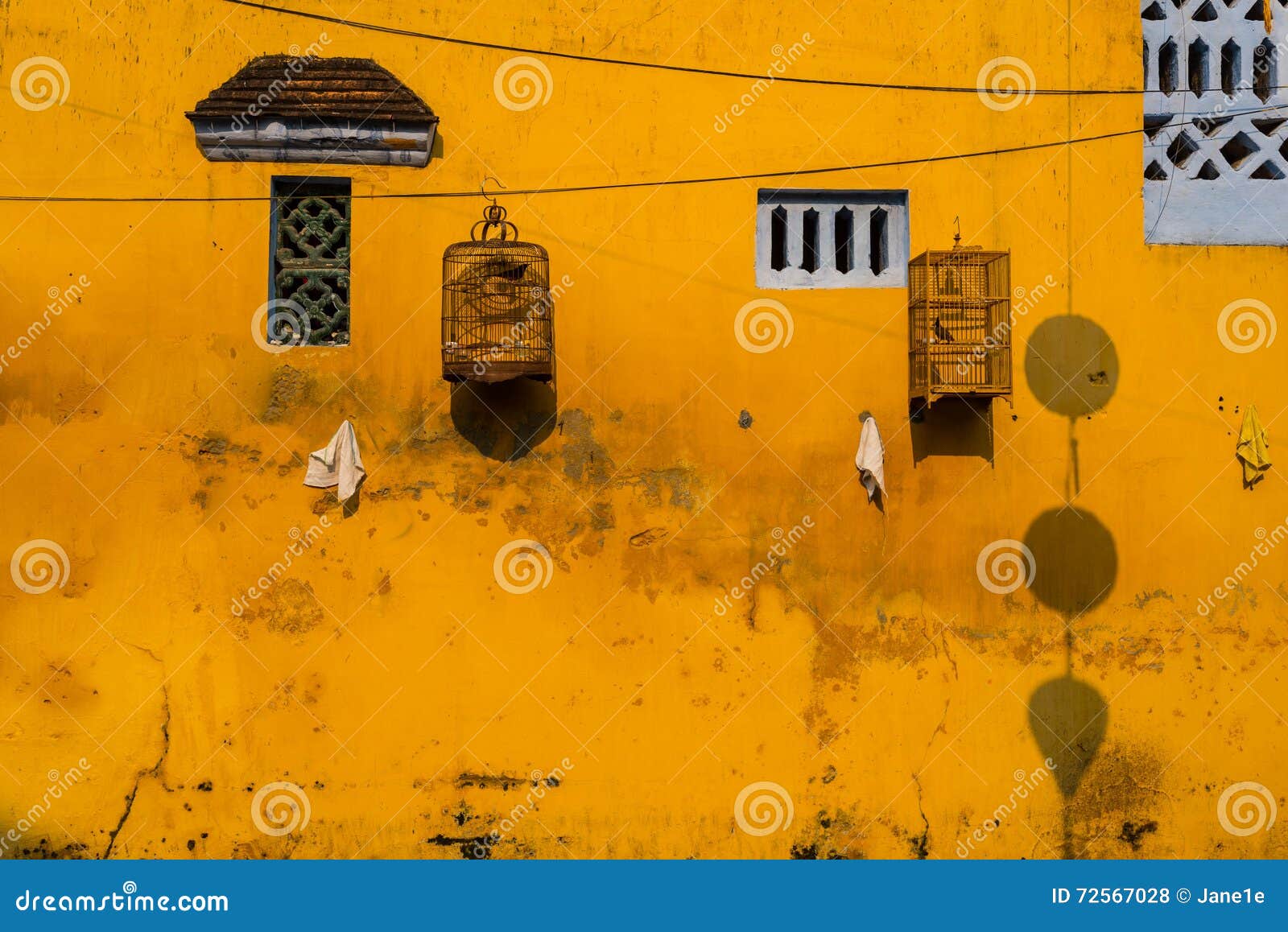 Griglia Base Per Gabbie Vision S01 E S02 - Reversibile, Impermeabile, Misura 43x32 Cm, Peso 0,3 Kg - Foto 3