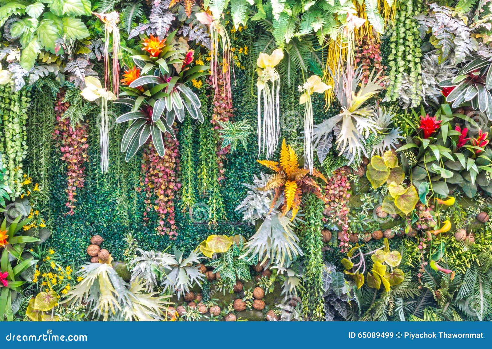 Parete Verticale Artificiale Del Giardino Immagine Stock Immagine di