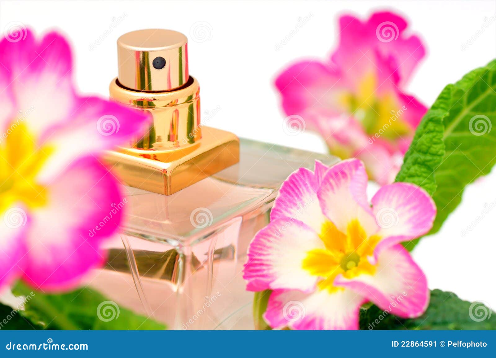 eetpatroon vasteland adelaar Parfum en bloemen stock afbeelding. Image of deodorant - 22864591