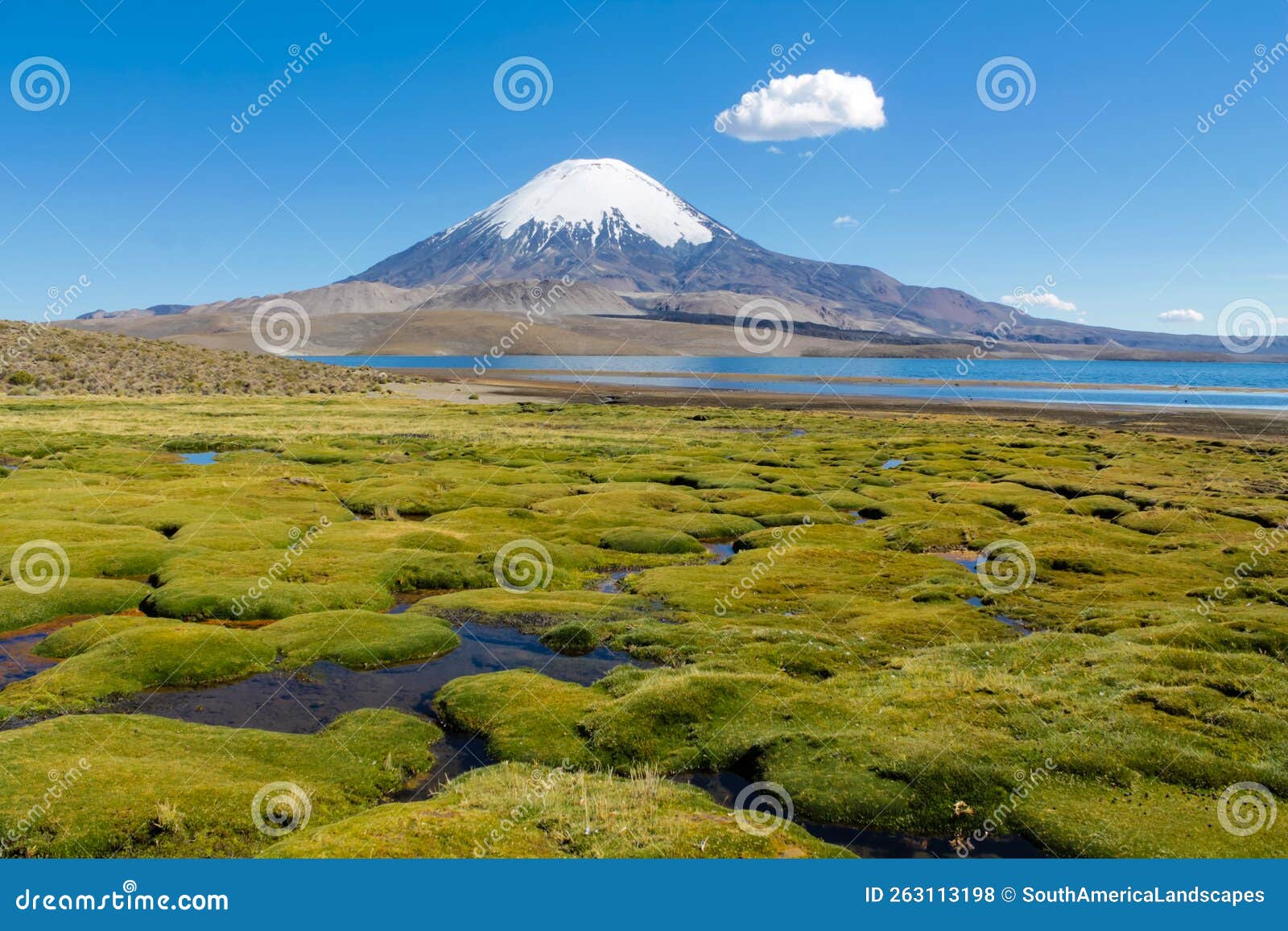 Parinacota and Pomerape Twin Volcanos Stock Photo - Image of lauca ...