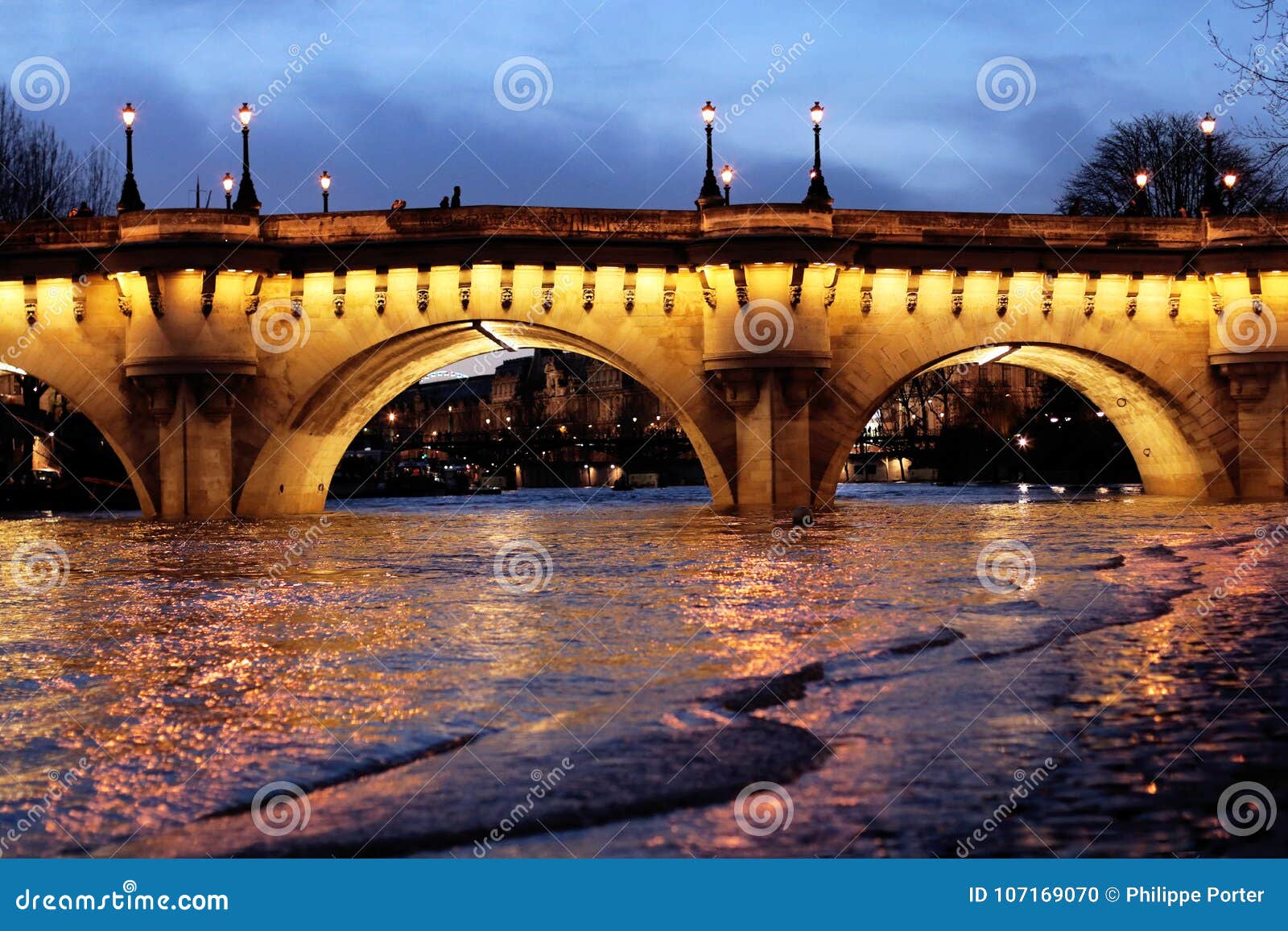 paris bridge pont neuf seine river floods