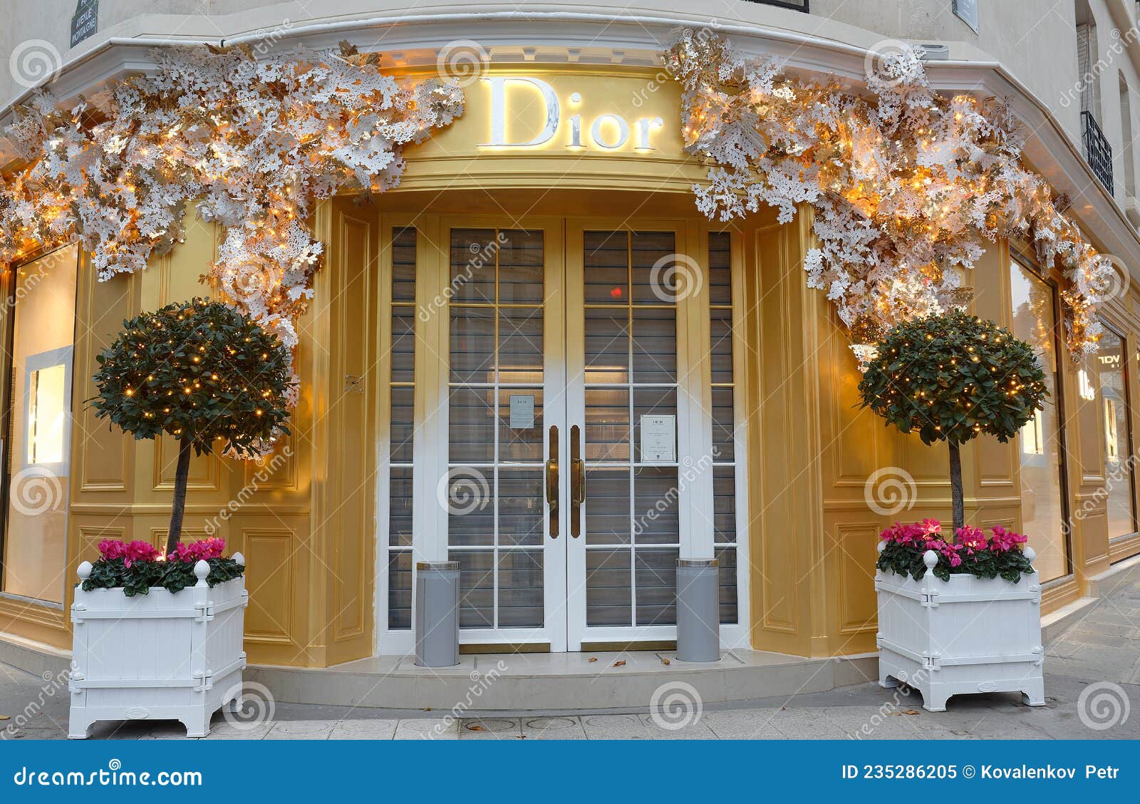 Dior Shop Avenue Montaigne, Paris, France, Stock Photo, Picture