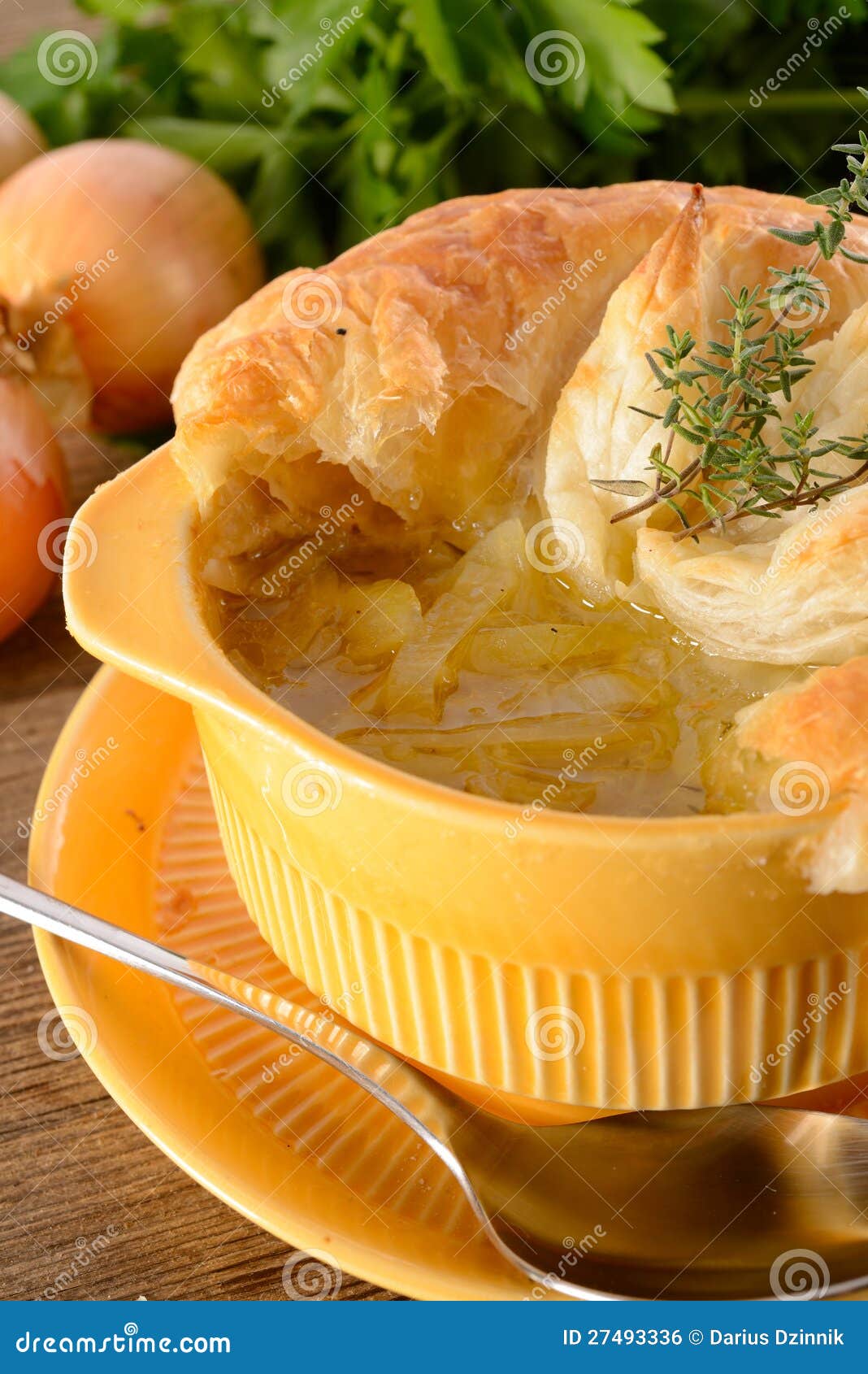 Paris onion soup stock photo. Image of dinner, cheese 27493336