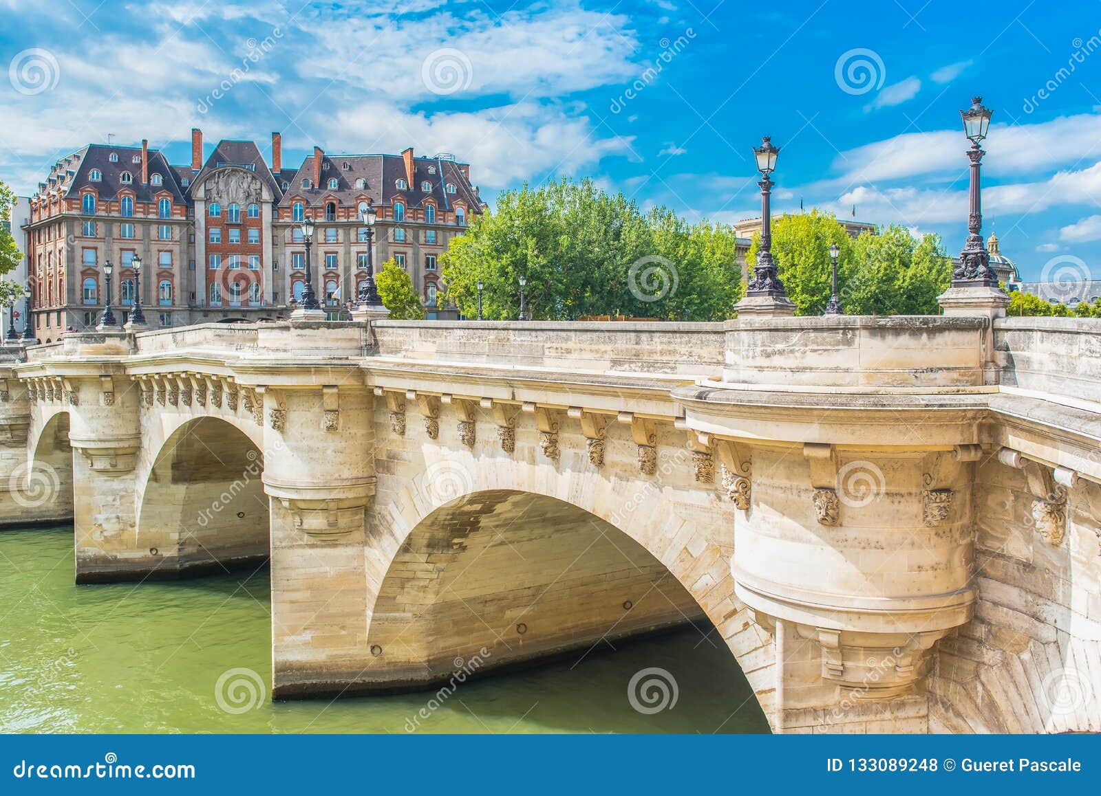 Pont Neuf - Get a Stunning View of the Seine and City From This