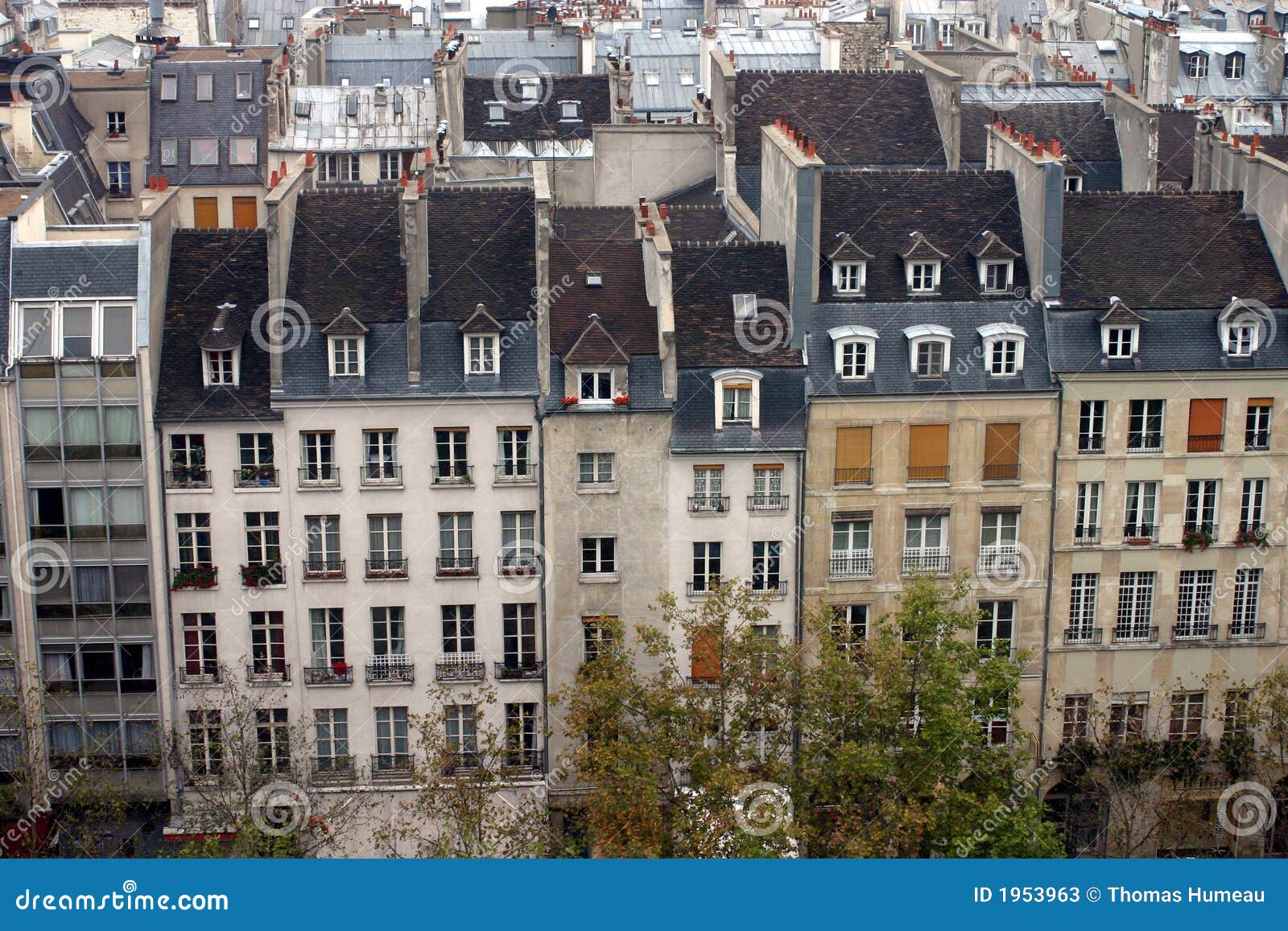 parisian roofs