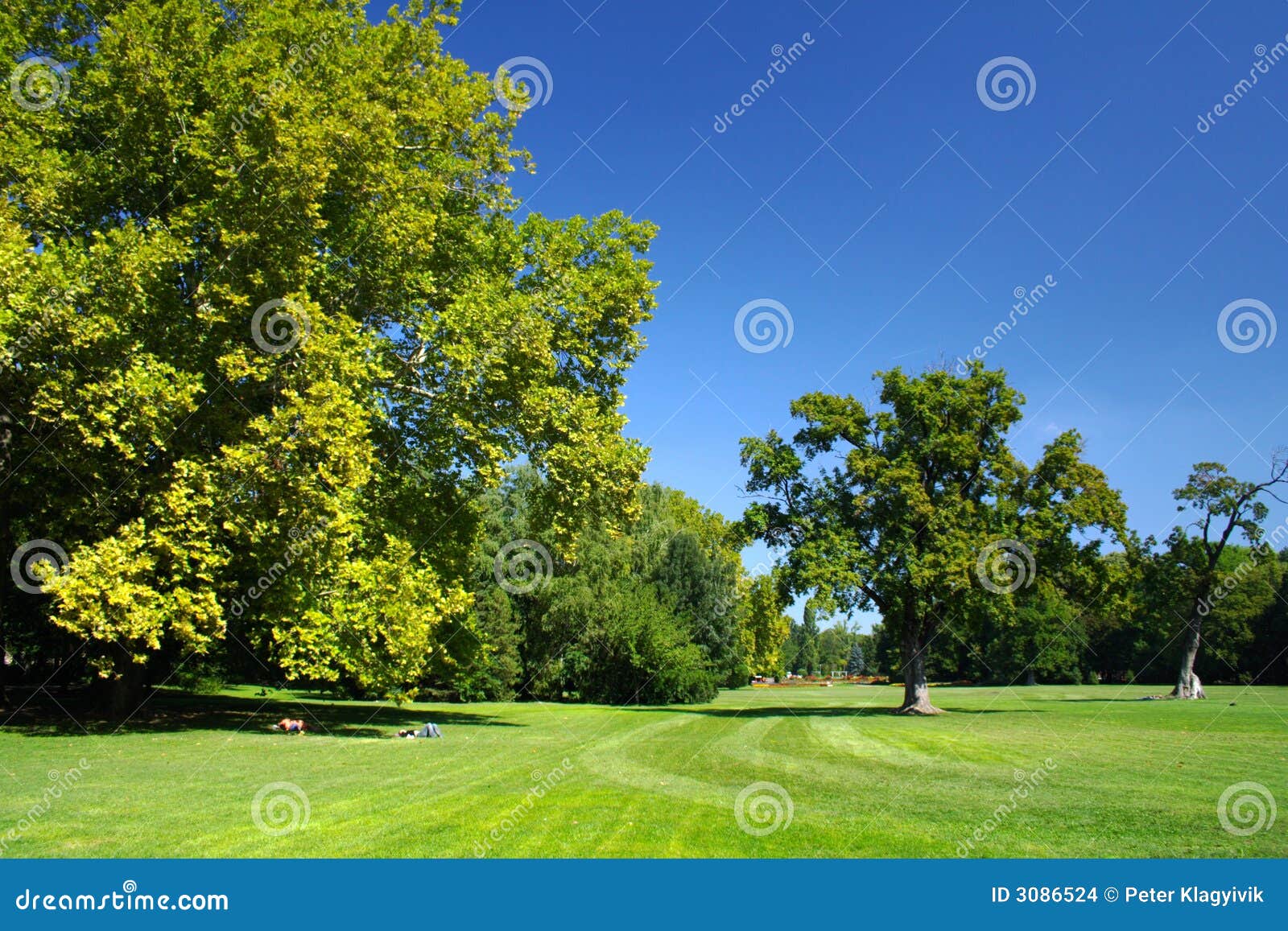 Park stock photo. Image of summer, colorful, cheerful - 3086524