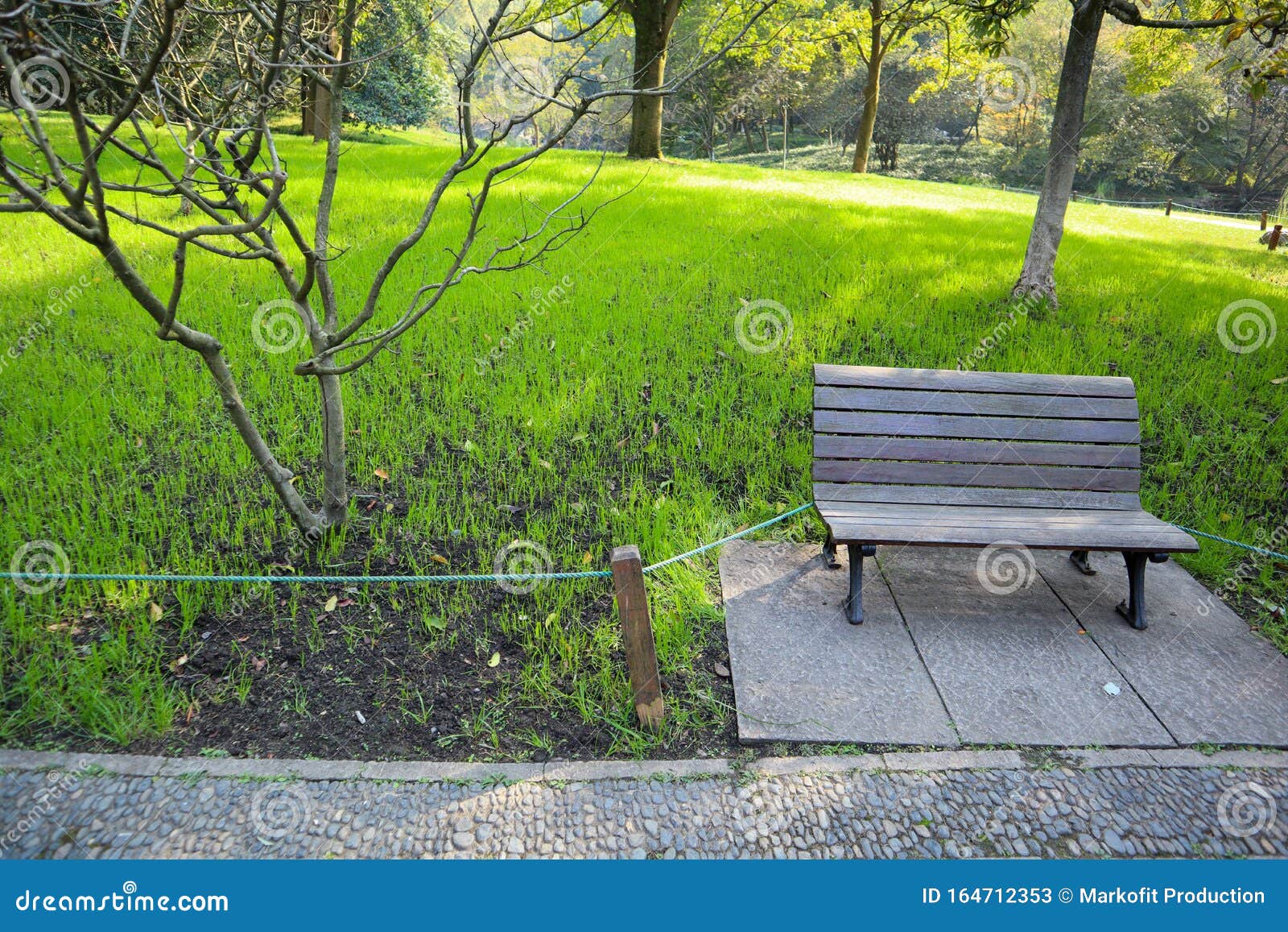 Park Bench In Amazing Green Park Stock Image Image Of Relax
