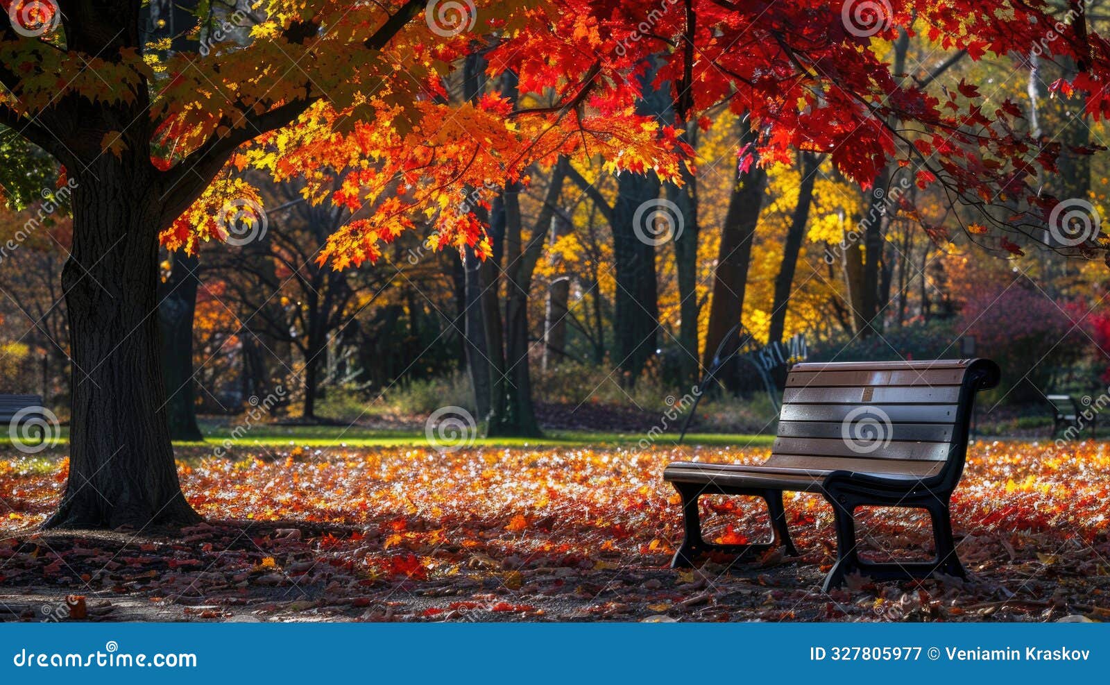 a park bench amidst colorful autumn trees in a park