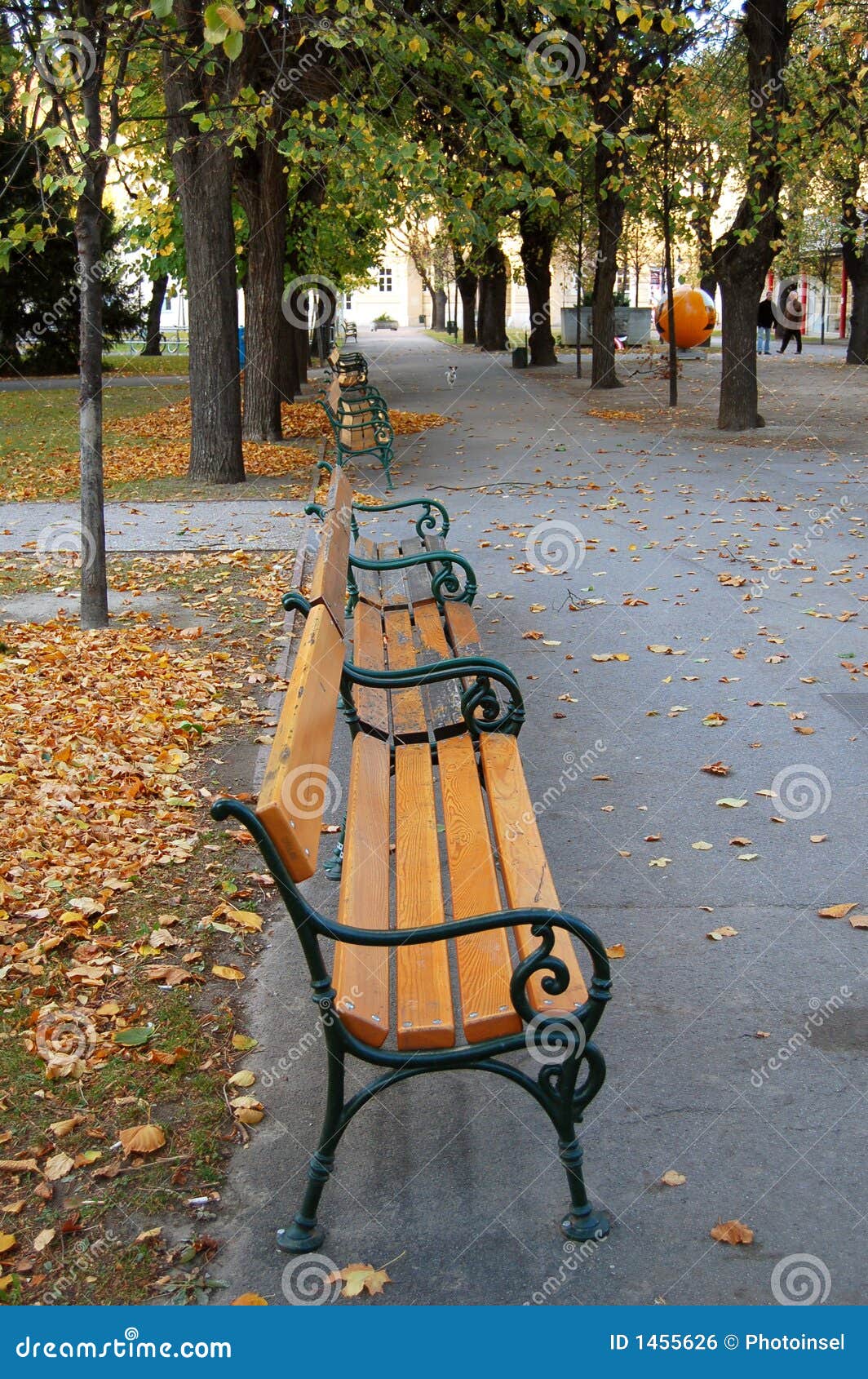park benches, autumn