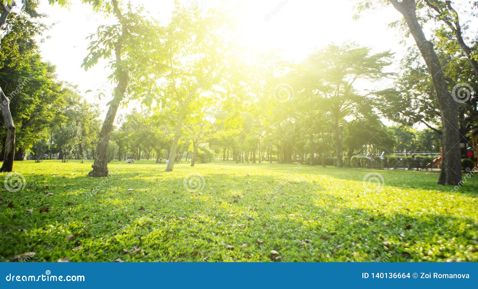 Park with Bright Grass and Trees, Sun Glare. Relaxing Fitness Background. Spring-summer Wallpaper Stock Photo - Image of sunlight, natural: 140136664 Park with Bright Grass and Trees, Sun Glare. Relaxing Fitness Background. Spring-summer Wallpaper Stock Photo - Image of sunlight, natural: 140136664